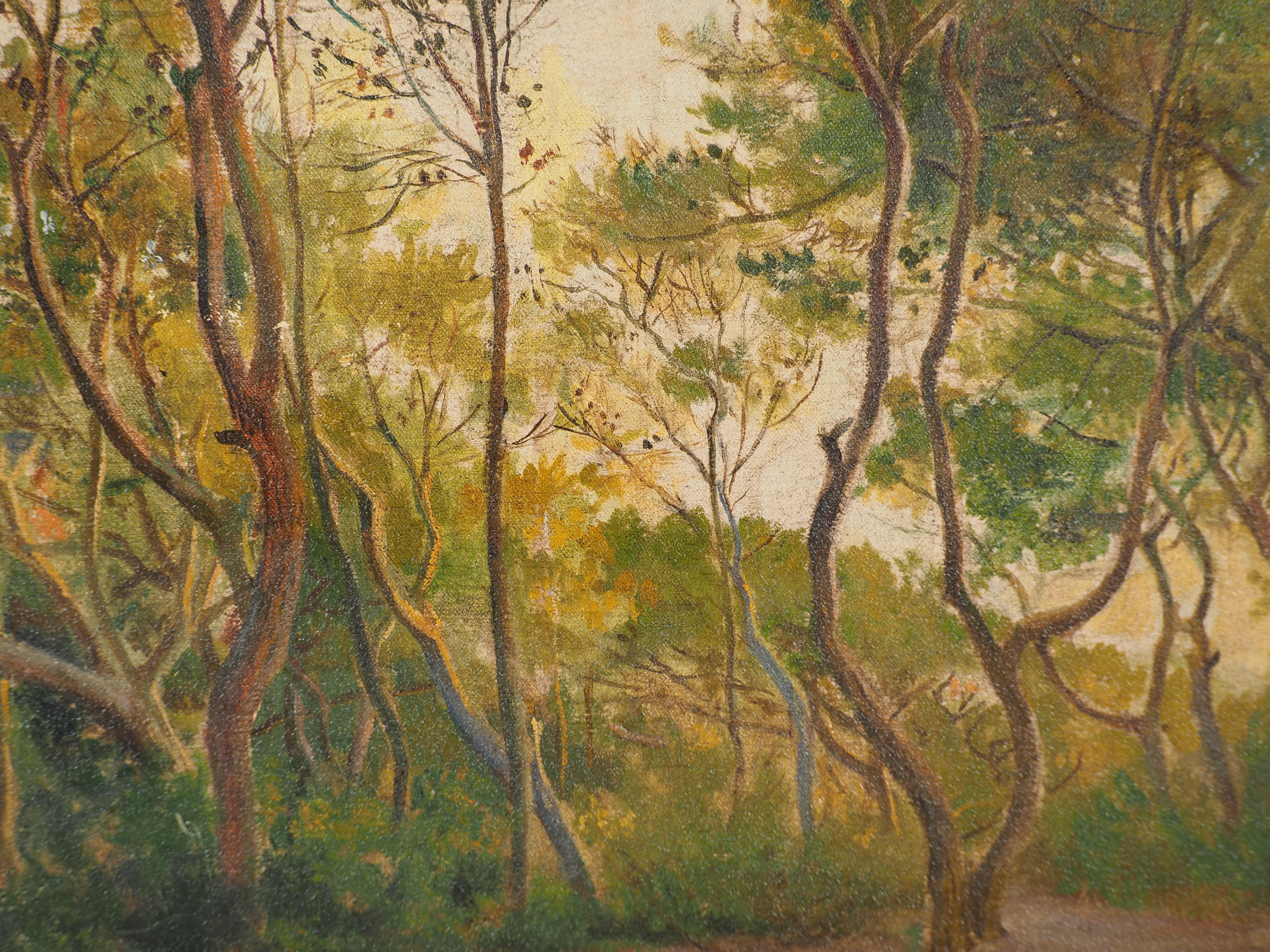Primavera: Luminous Forrest - Olio originale su tela, firmato 1