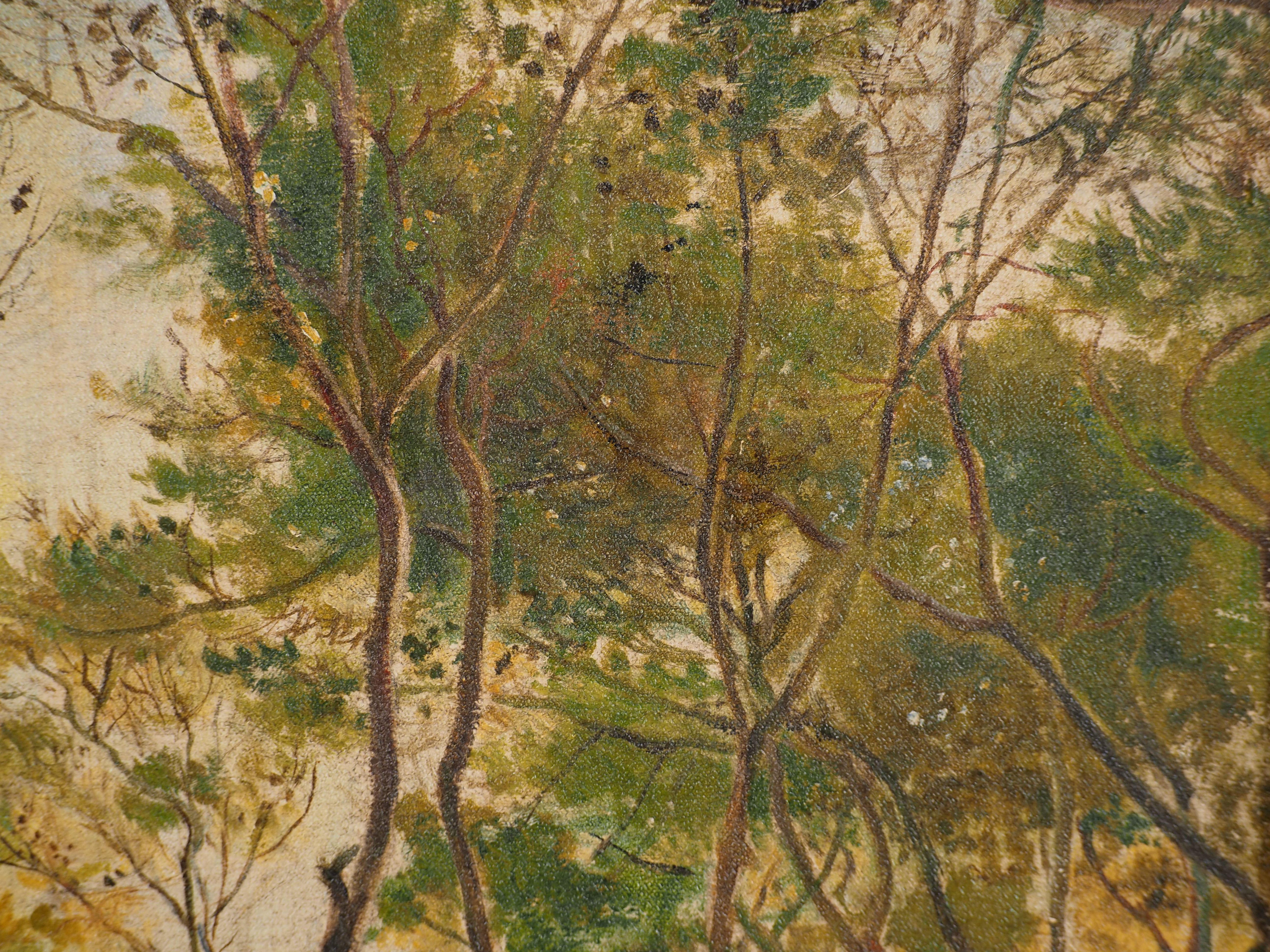 Primavera: Luminous Forrest - Olio originale su tela, firmato 2
