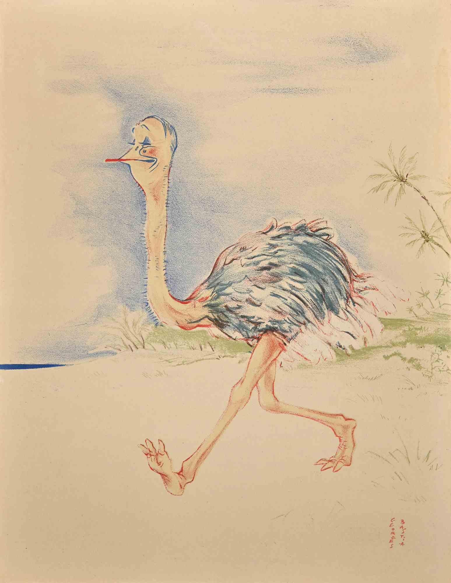 Ostrich - Original Lithograph by Georges Bastia - 1950s