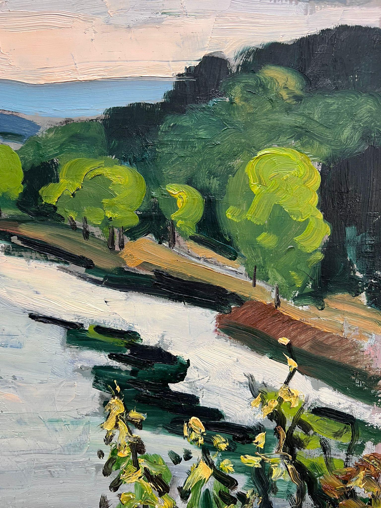 1960's French Moody Sludgy Green River Landscape Ile de France Firmado y fechado 3