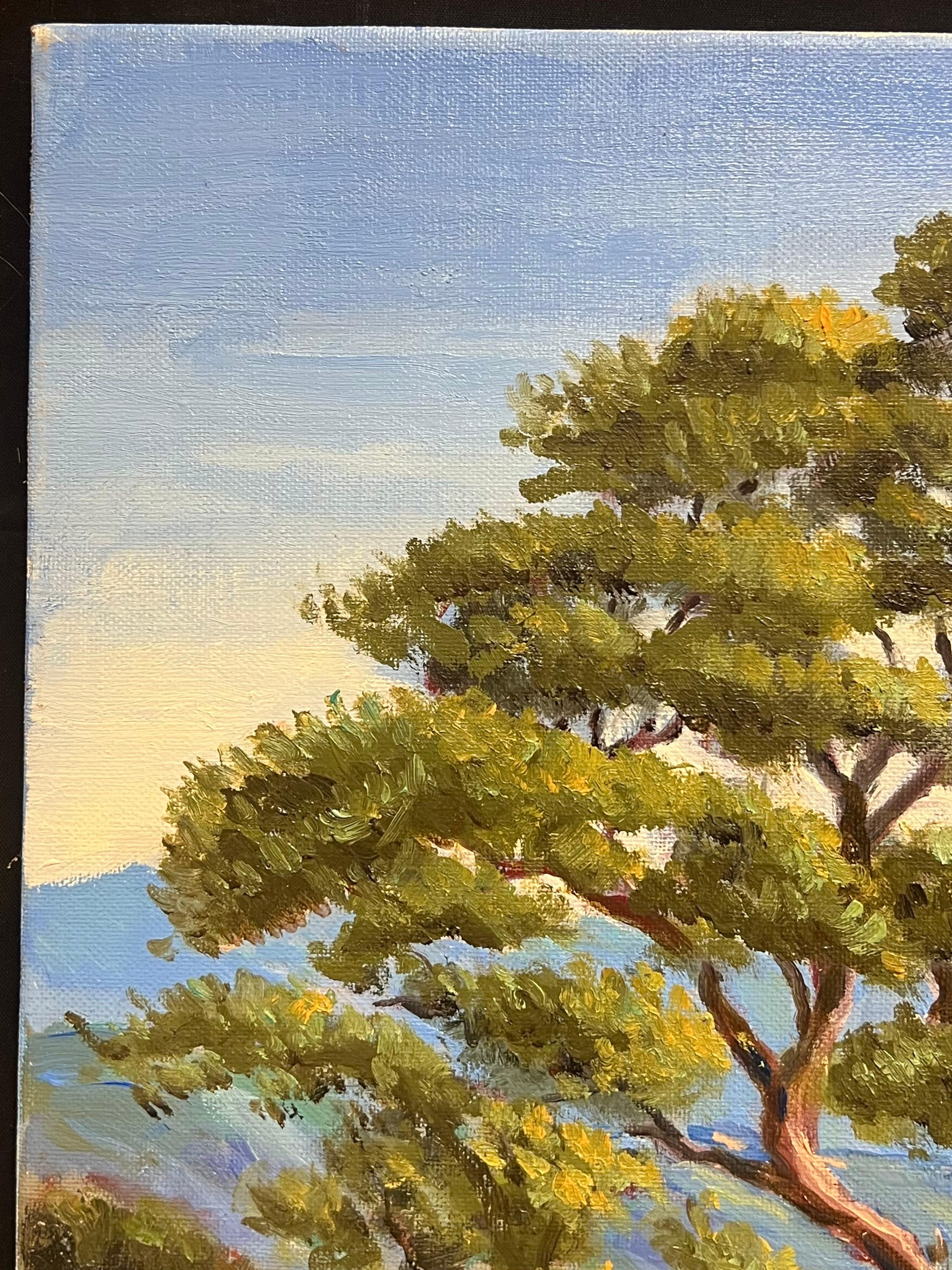 Paesaggio costiero impressionista francese di un albero che si affaccia su una scogliera illuminata dal sole - Landscape Painting Marrone di Georges Bordonove