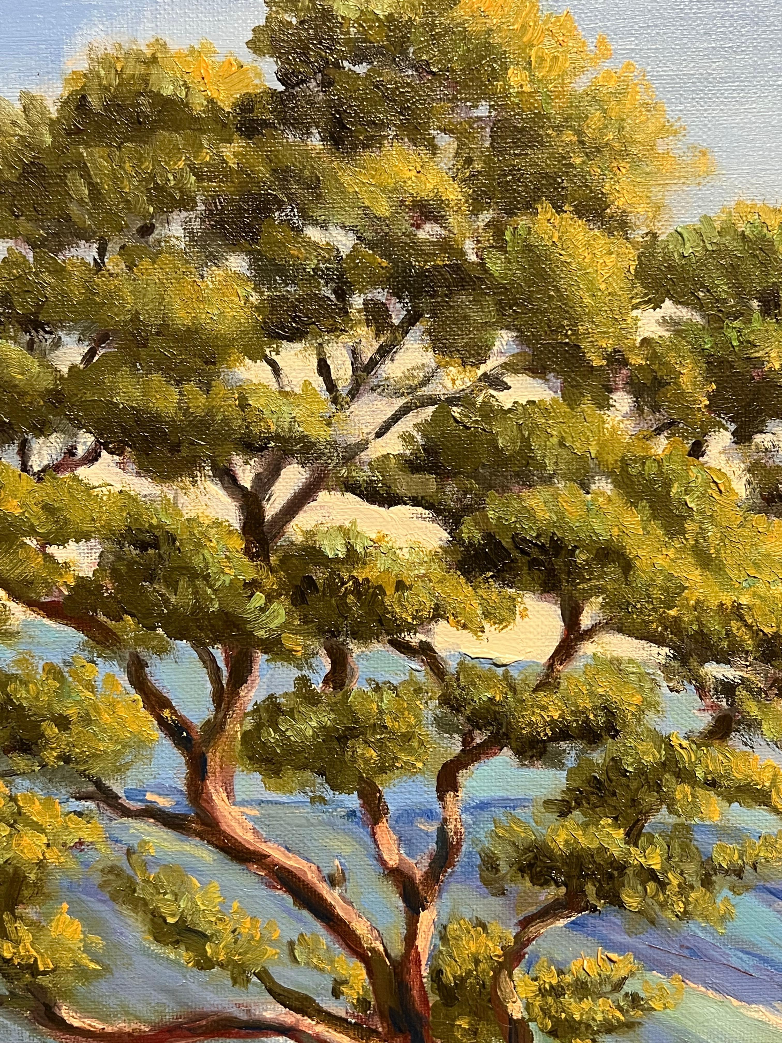Paesaggio costiero mediterraneo
di Georges Bordonave (francese contemporaneo)
dipinto a olio su tela firmato, senza cornice
datato 1998
tela: 20 x 26 pollici
condizioni: ottime
provenienza: da una grande collezione privata di opere di questo