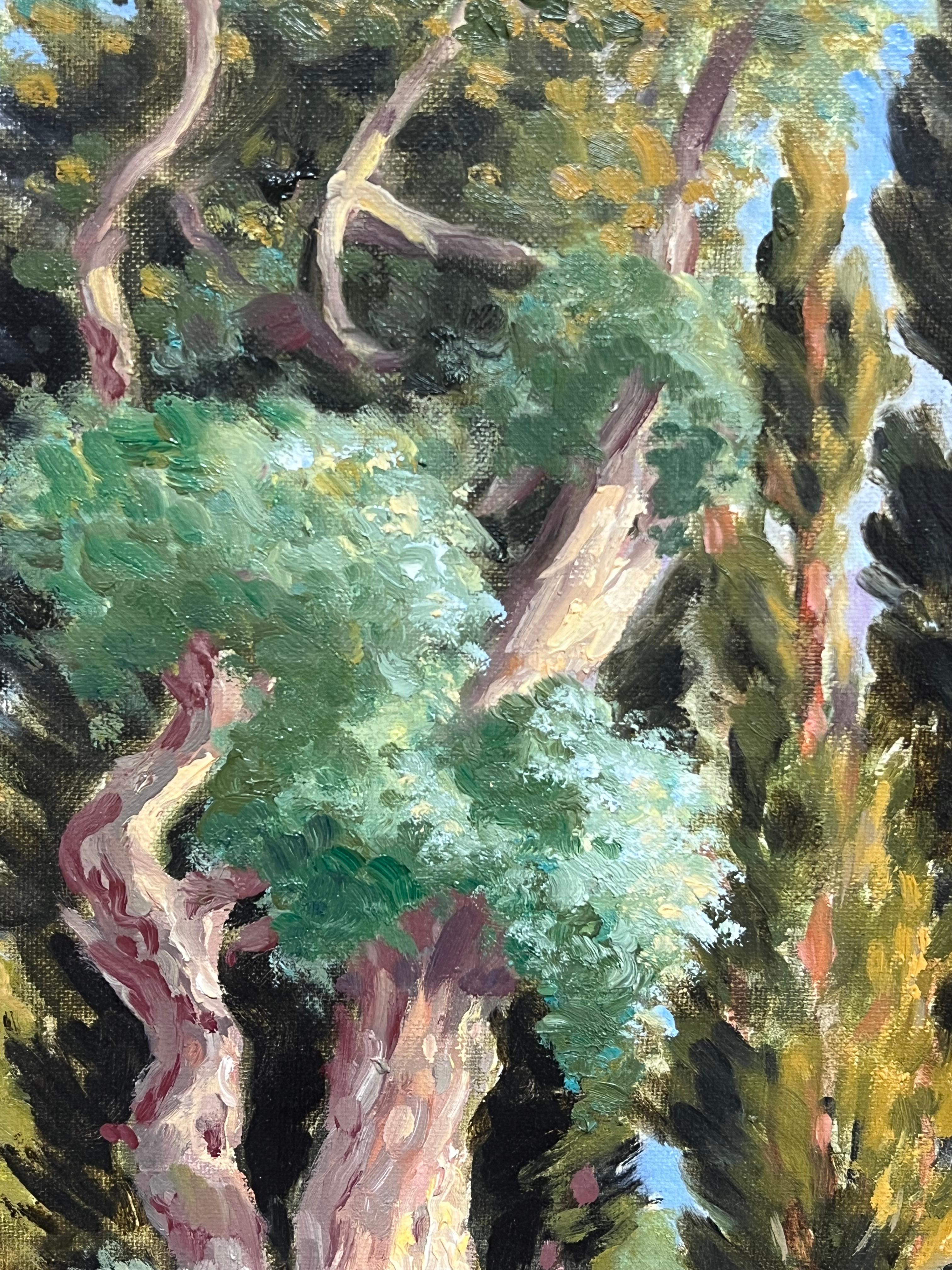 Pintura impresionista francesa Arboleda mediterránea iluminada por el sol Olivos retorcidos en venta 2