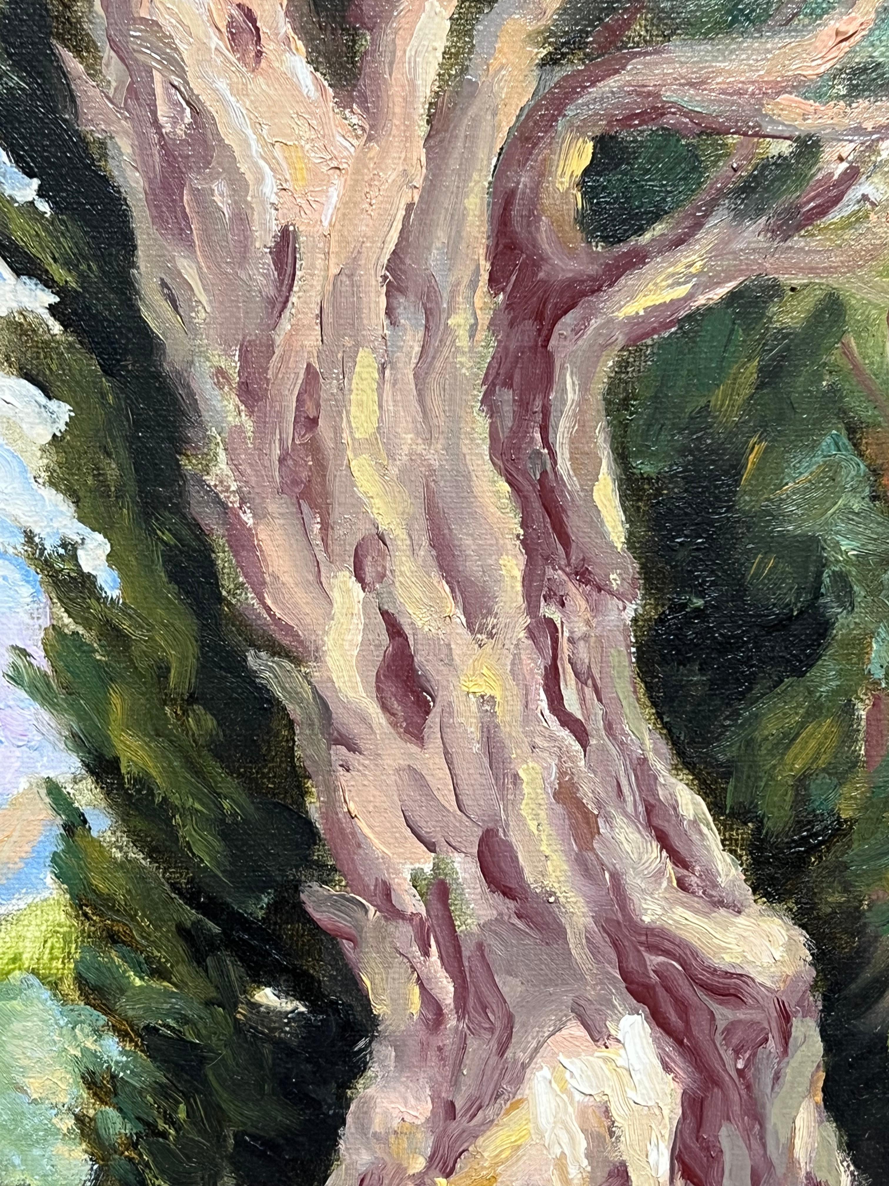 Pintura impresionista francesa Arboleda mediterránea iluminada por el sol Olivos retorcidos en venta 4