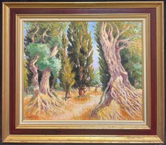 French Impressionist Sunlit Mediterranean Grove Twisted Olive Trees Painting
