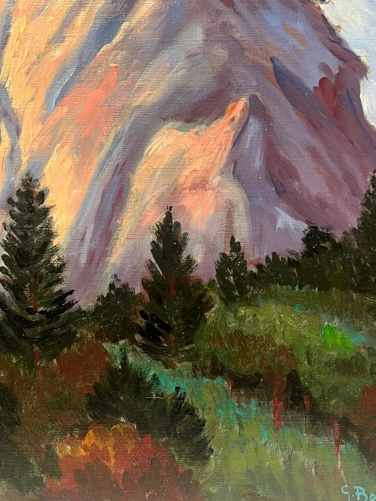The Rock
signed by Georges Bordonave (French contemporary)
dated 1998
oil painting on canvas, unframed
canvas: 18.5 x 21.5 inches
condition: very good
provenance: from a large private collection of this artists work, western Paris, France. 