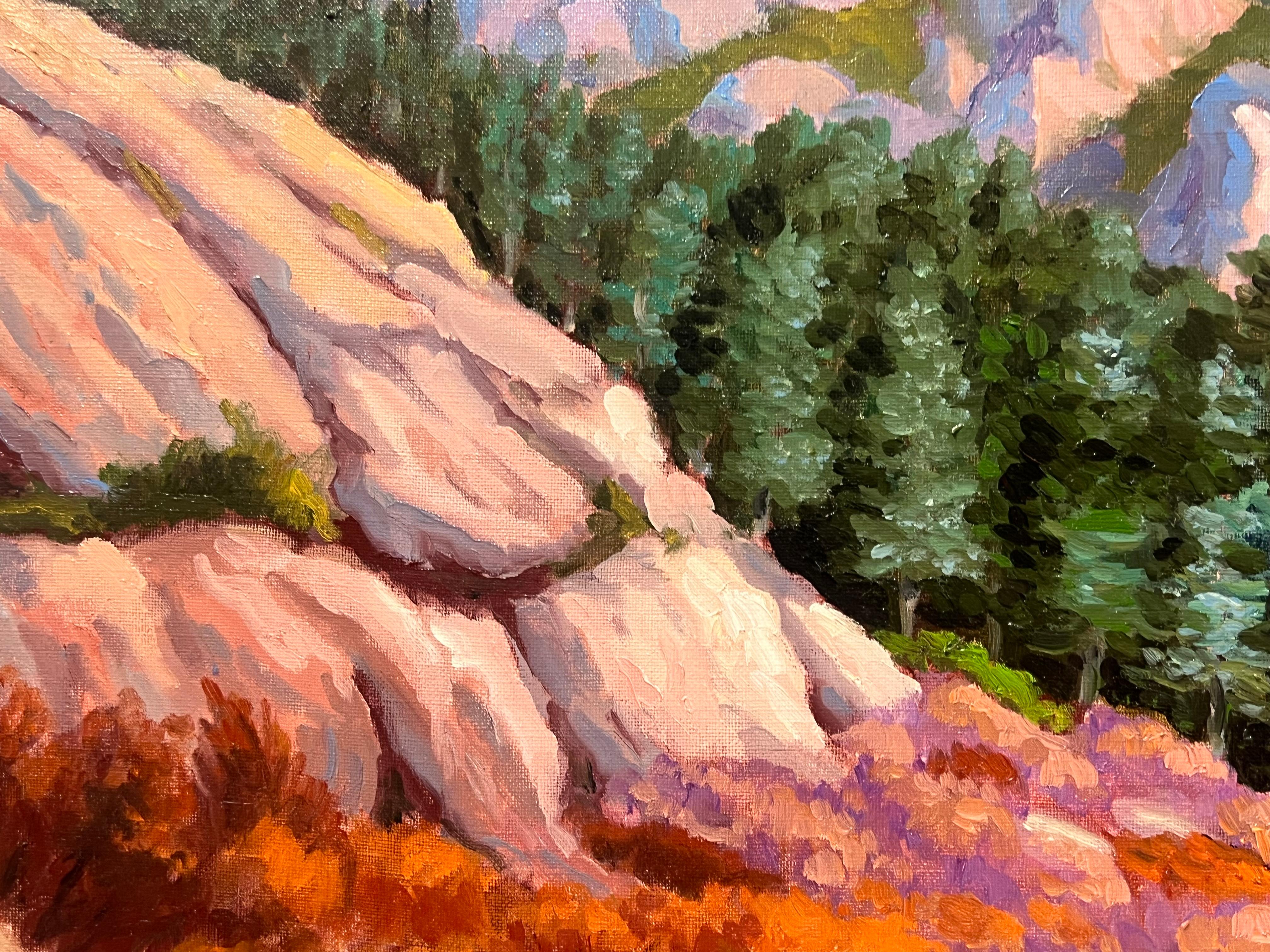 La foresta di montagna
firmato da Georges Bordonave (contemporaneo francese)
datato 
dipinto a olio su tela, senza cornice
tela: 21,5 x 26 pollici
condizioni: ottime
provenienza: da una grande collezione privata di opere di questo artista, a ovest