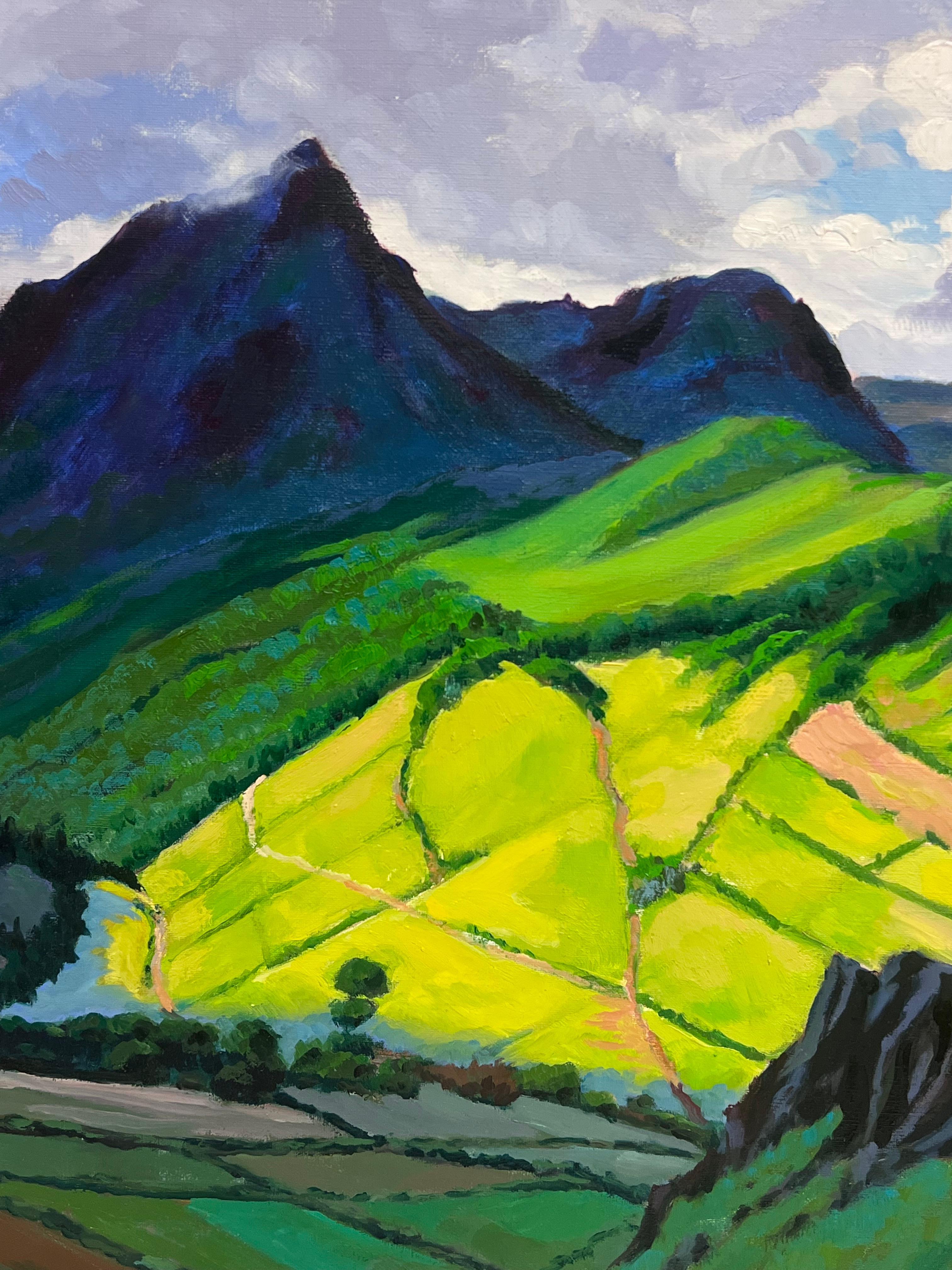 Sonnenbeschienenene Feldern und spiegelnde Spitzen in einem Bergahorn-Ölgemälde, Französisch (Schwarz), Landscape Painting, von Georges Bordonove