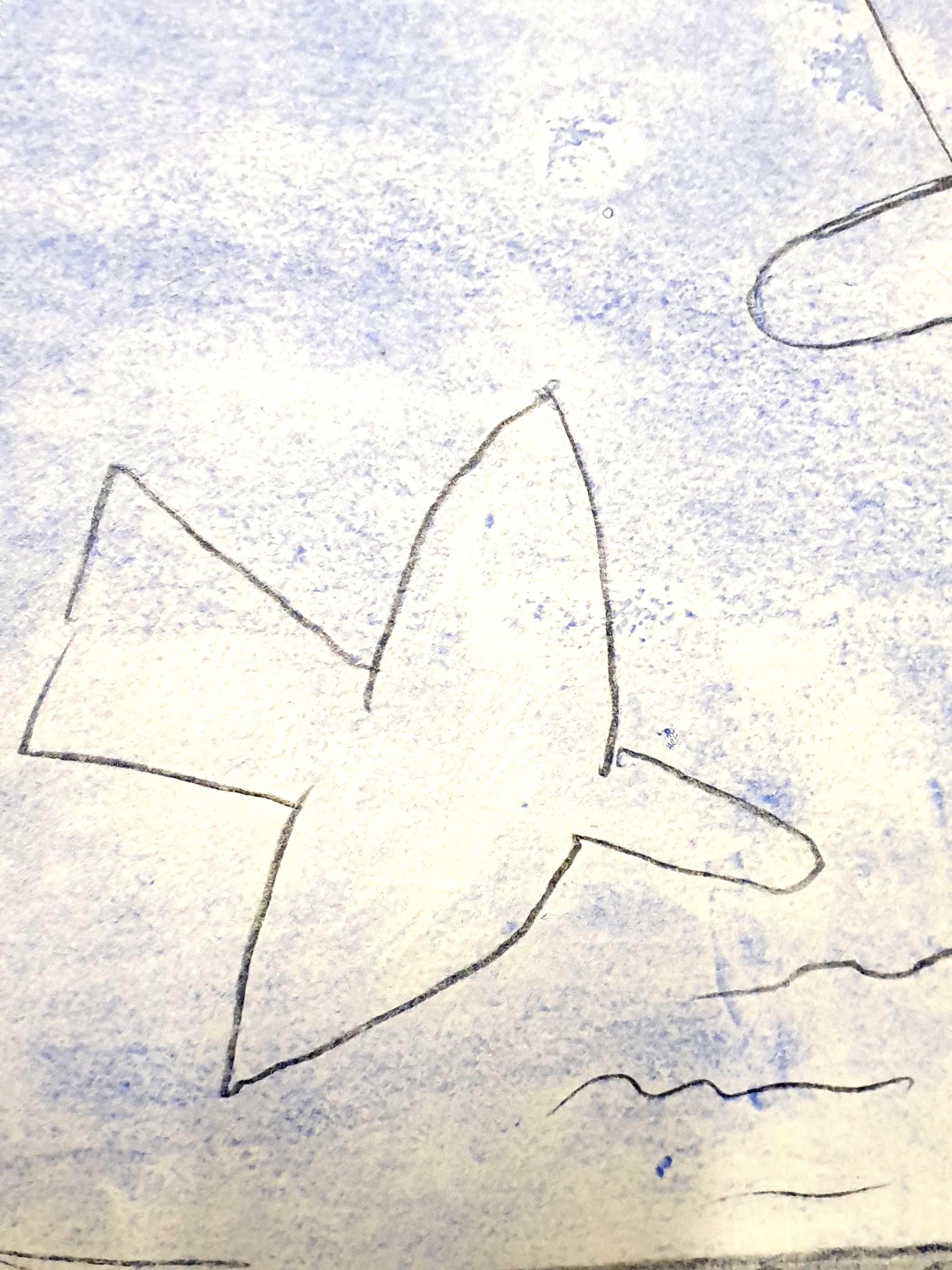 Dopo Georges Braque - Oiseaux - Pochoir (after) Georges Braque in vendita 4