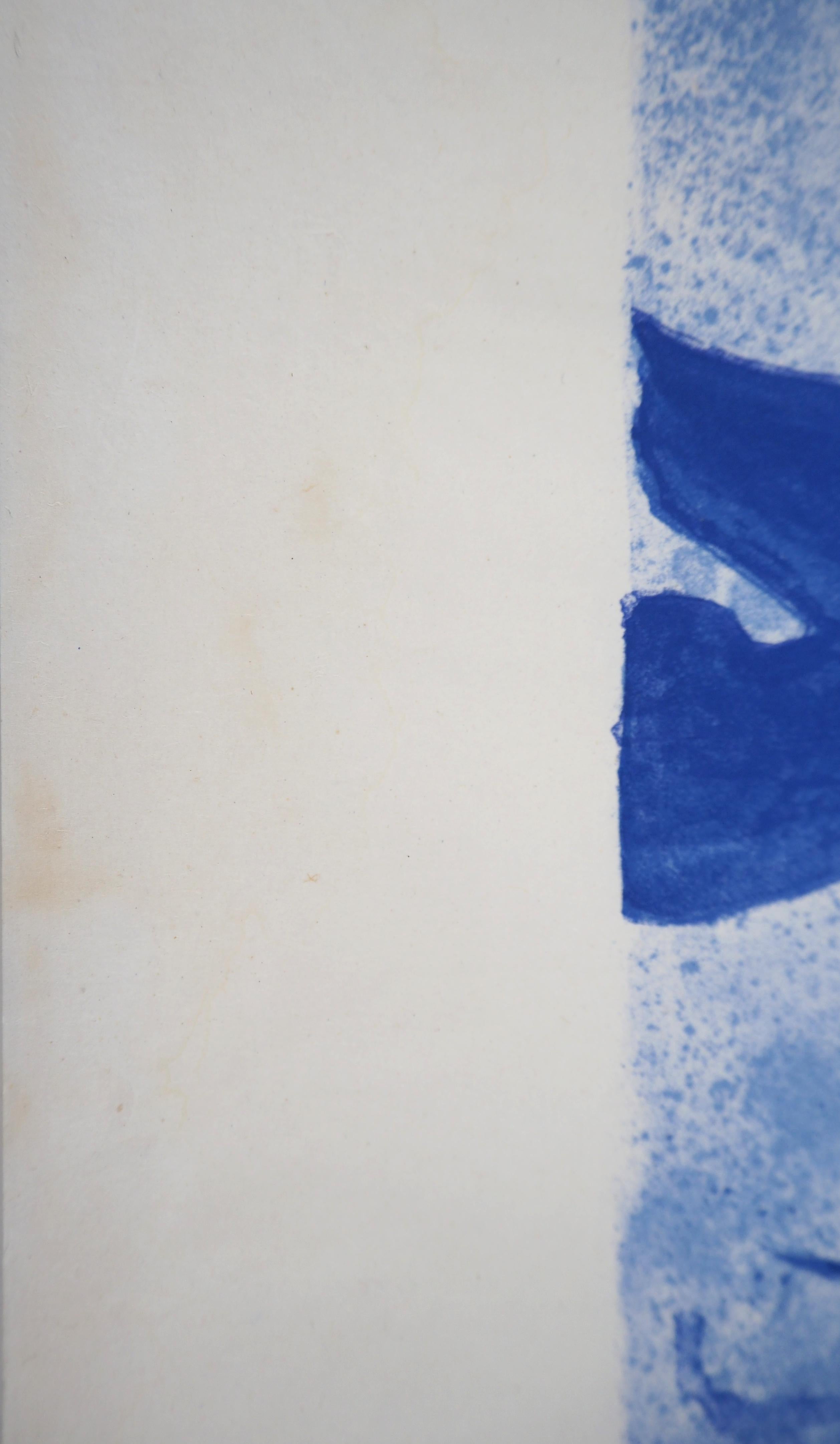 Blue Water Lilies - Original lithograph, hand signed (Mourlot) 3