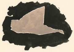Braque, Le canard, Georges Braque le solitaire (after)