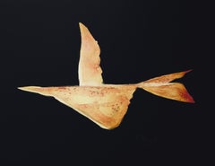 Braque, Phaeton, Œdipe roi de Sophocle (after)
