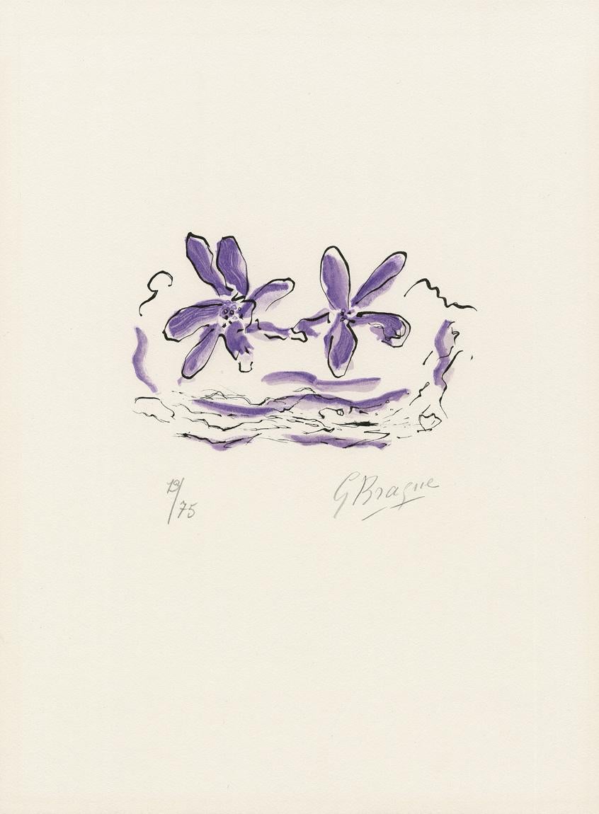 Figurative Print de Georges Braque - Deux fleurs violettes - Moderno, Litografía, Violeta, Flor, Planta