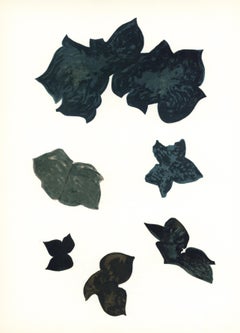 Georges Braque, La liberté des mers, L'édition de tête (after) Georges Braque, La liberté des mers, L'édition de tête (dopo)