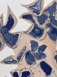 Giroflée bleue "Lettera Amorosa"