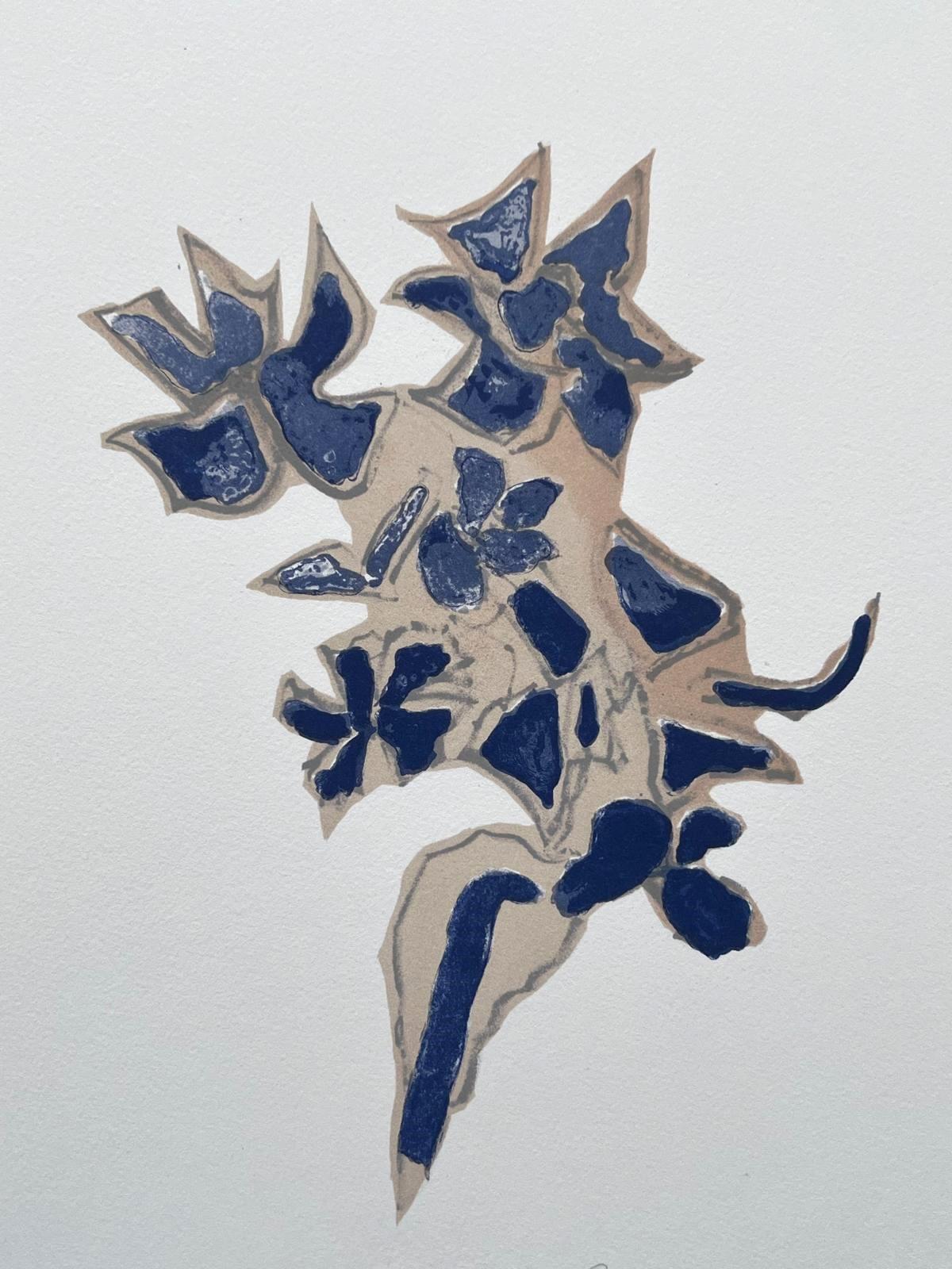 Giroflée bleue 