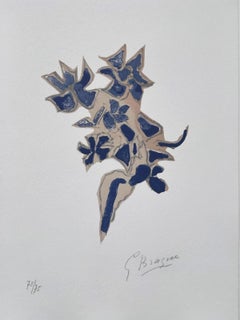 Giroflée bleue "Lettera Amorosa"