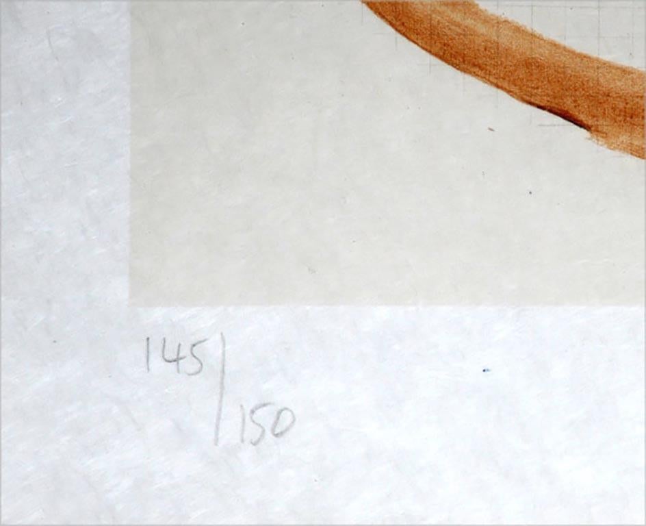 Braque (Argenteuil-sur-Seine, 1882 - Paris, 1963) verbindet das Organische mit dem Technischen und stellt einen Pflug vor einem Hintergrund aus Diagrammquadraten dar. Der Pflug erscheint wie ein Aquarell, das aus weichen, organischen Strichen in