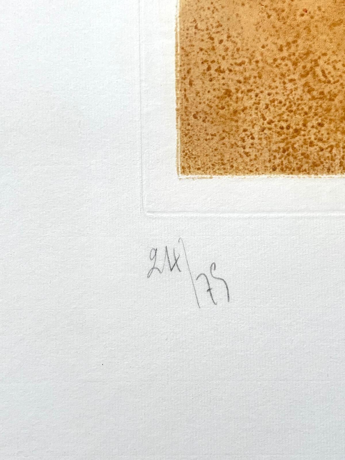 L'oiseau de feu (Oiseau XIII) - Orange Abstract Print by Georges Braque