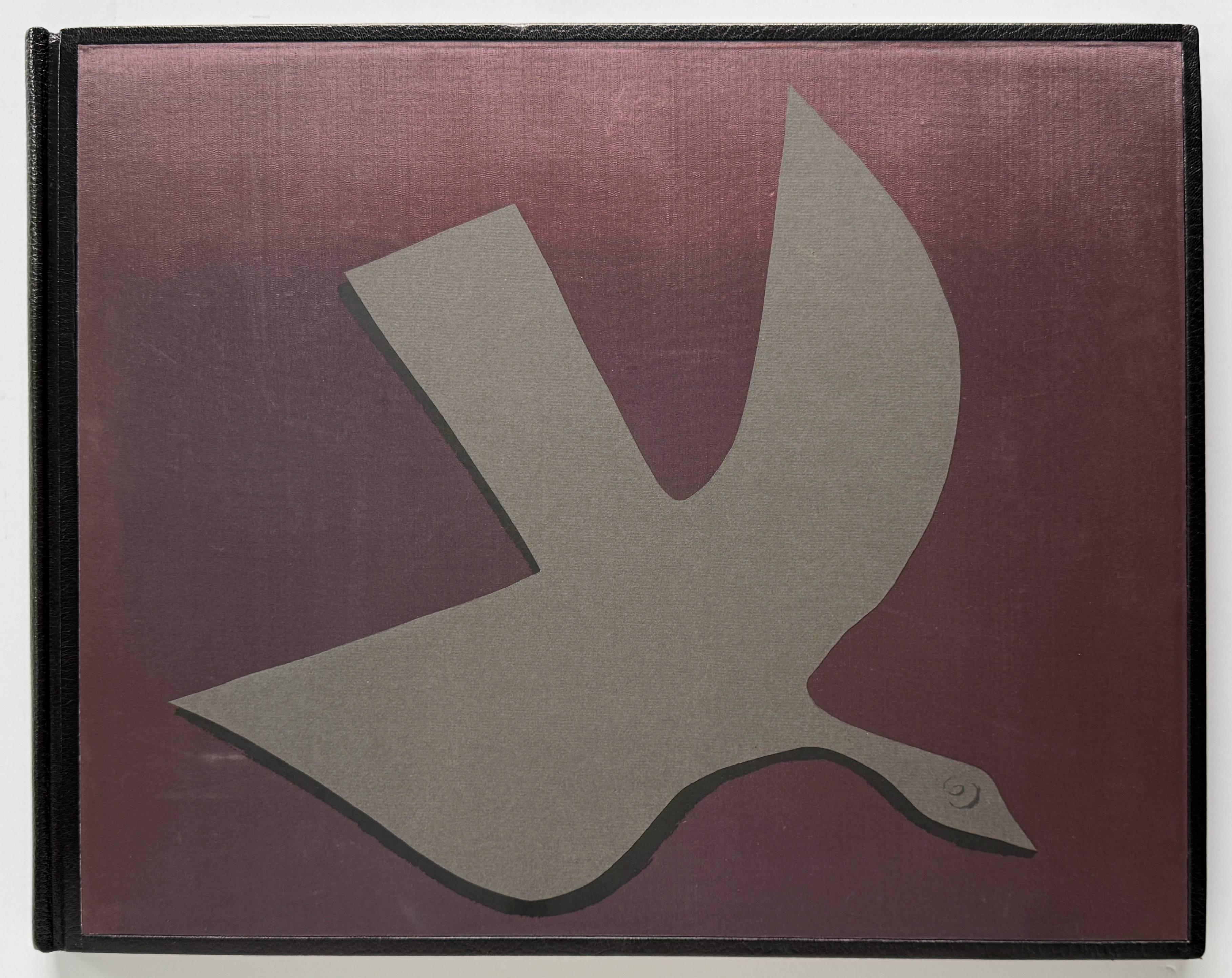 El orden de las aves en venta 8