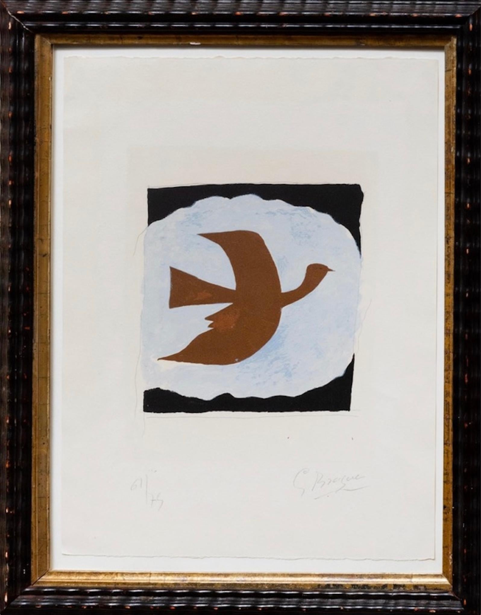 Oiseau Bistre