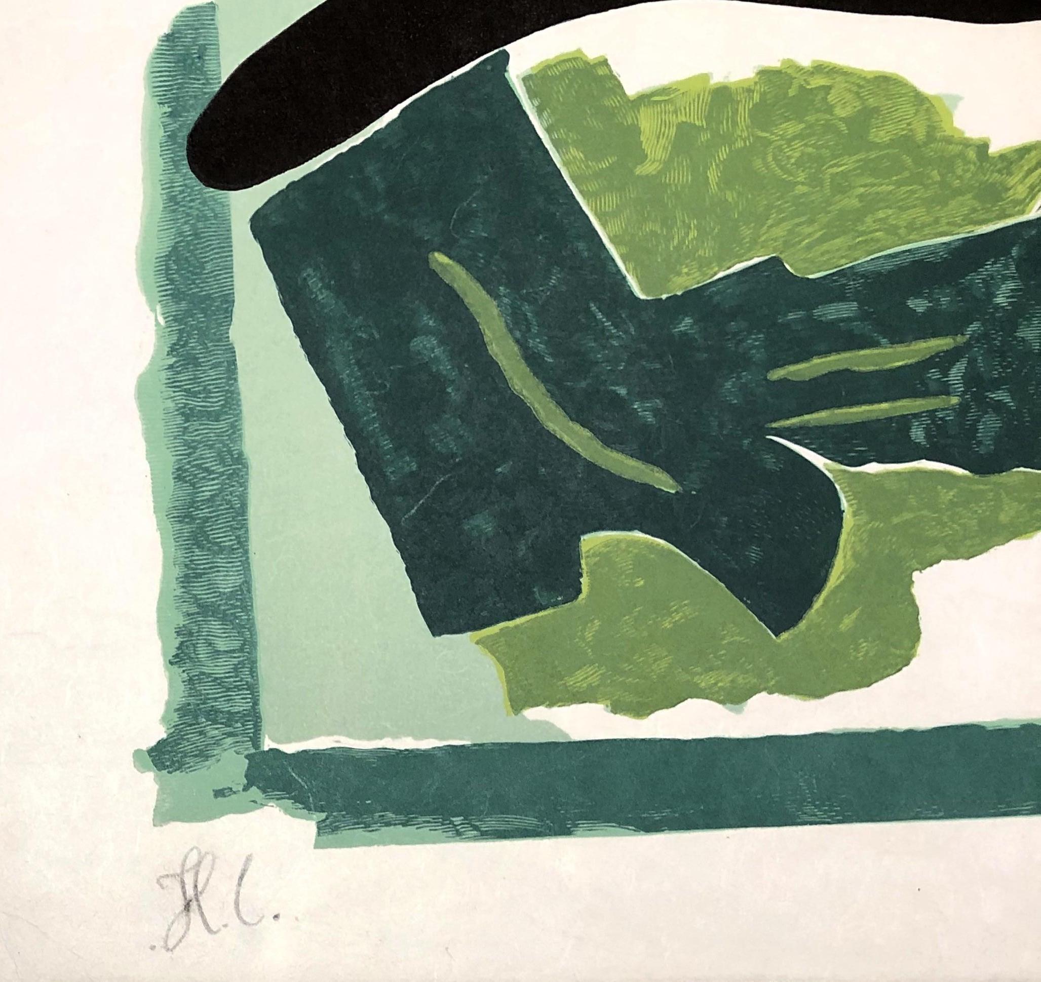 Black Bird On Green Background - Original woodcut handsigned - 50 copies - Gray Figurative Print by Georges Braque