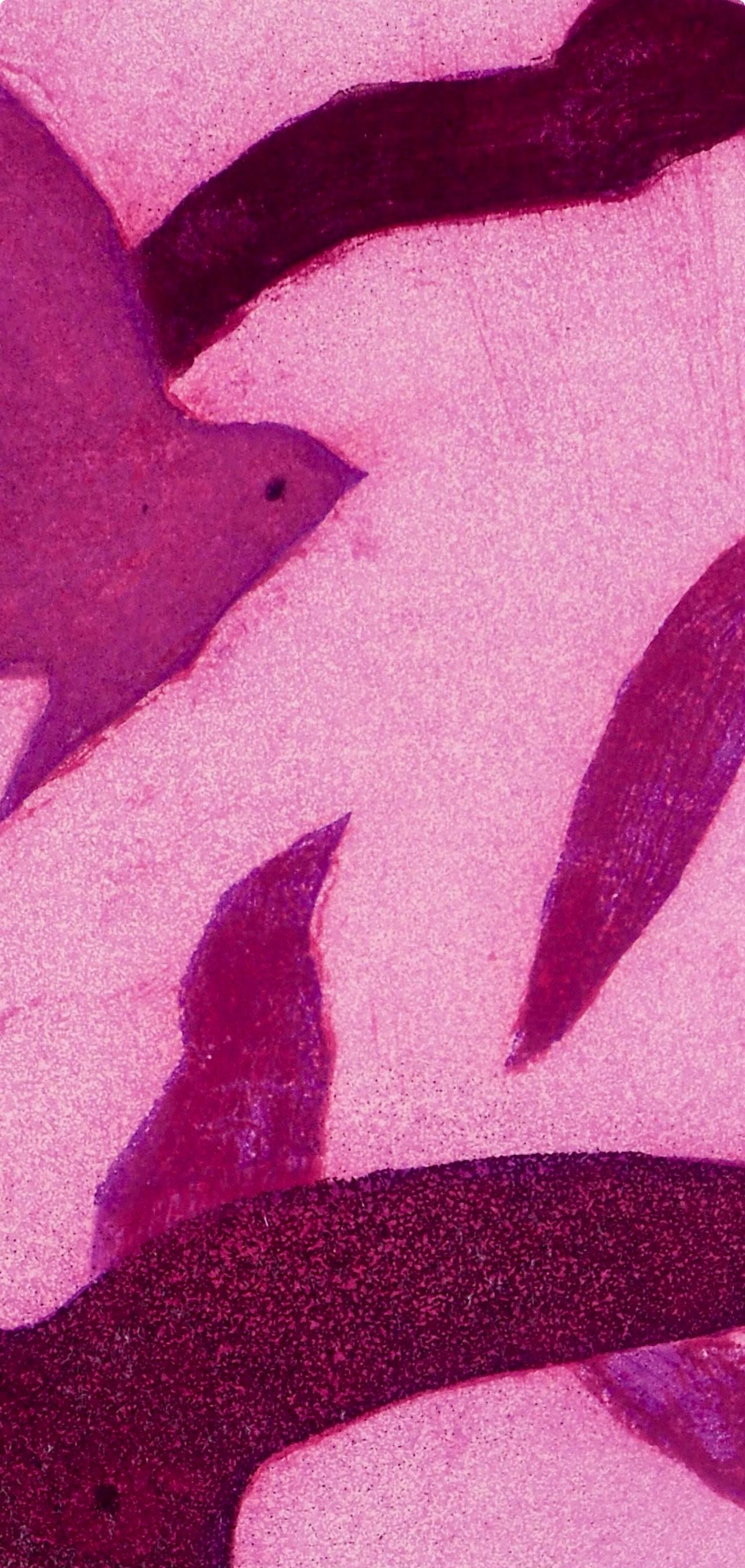 Oiseaux, Rose (Vallier 183), Paroles peintes I, Georges Braque en vente 3