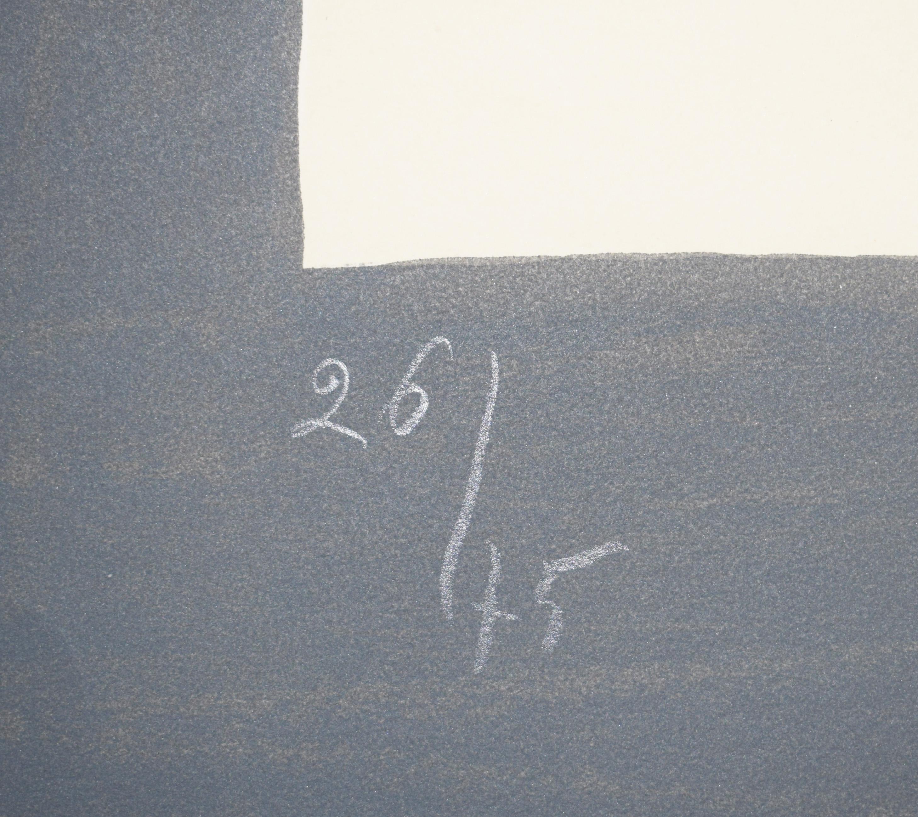 This original lithograph in colours is hand signed in pencil by the artist 