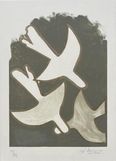 The white birds
