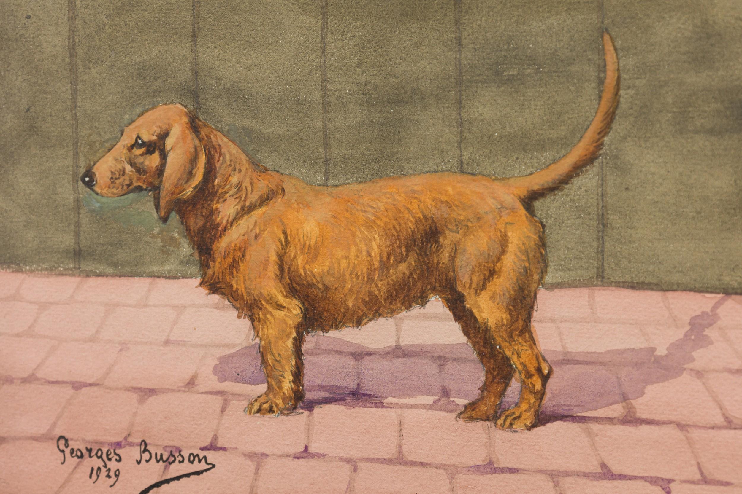 Georges Busson Art Decó Perro salchicha marrón Acuarela en marco de madera de nudo Francés en venta