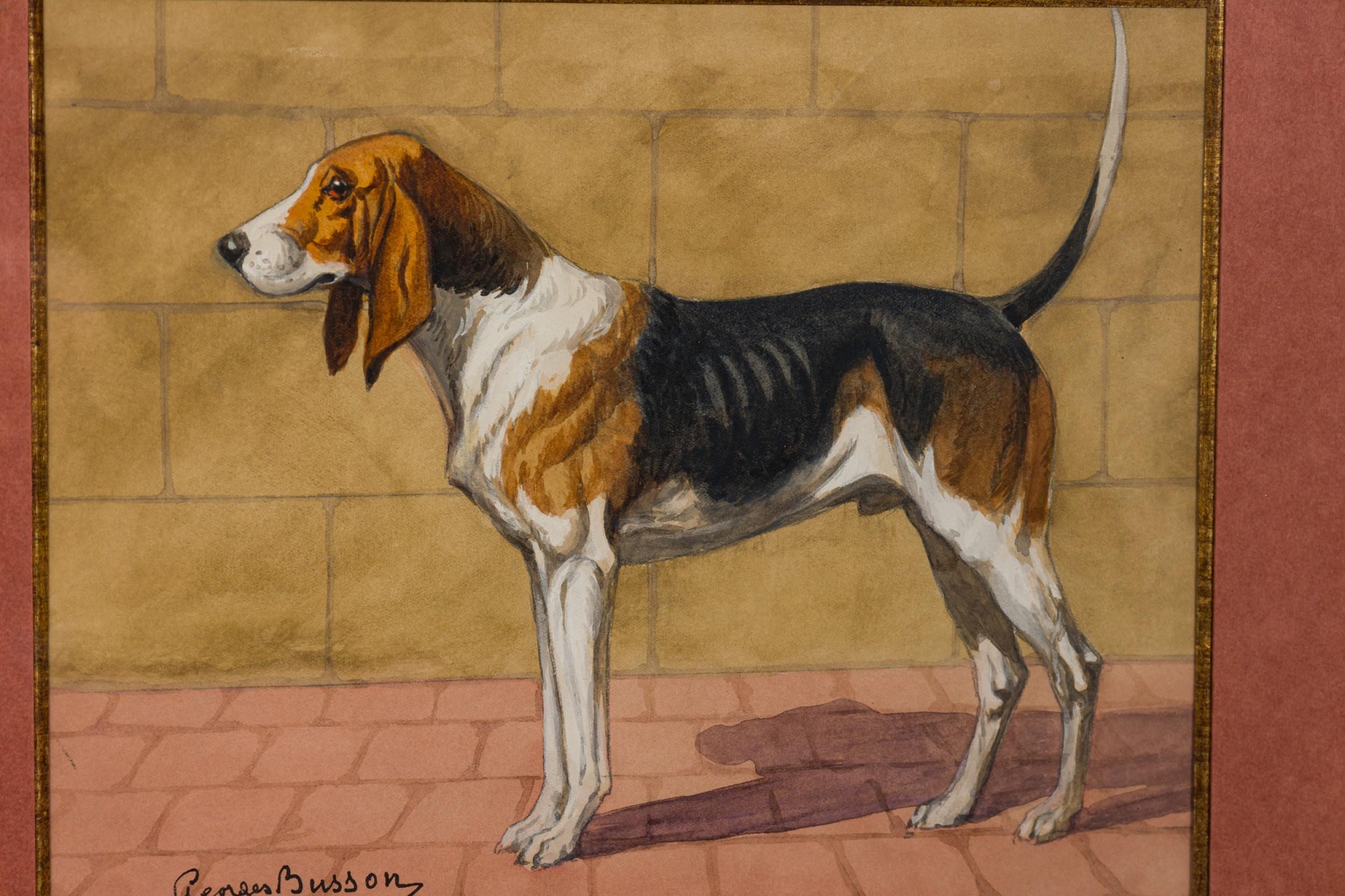 Acquerello Art Deco francese di un foxhound marrone, nero e bianco, incorniciato in una cornice di radica di noce. (firmato GEORGES BUSSON, datato 1929)(Companion pieces: 058035A-B-C-D-F)(C.B.A.D. B.)

Condit: Buono; Usura coerente con l'età e