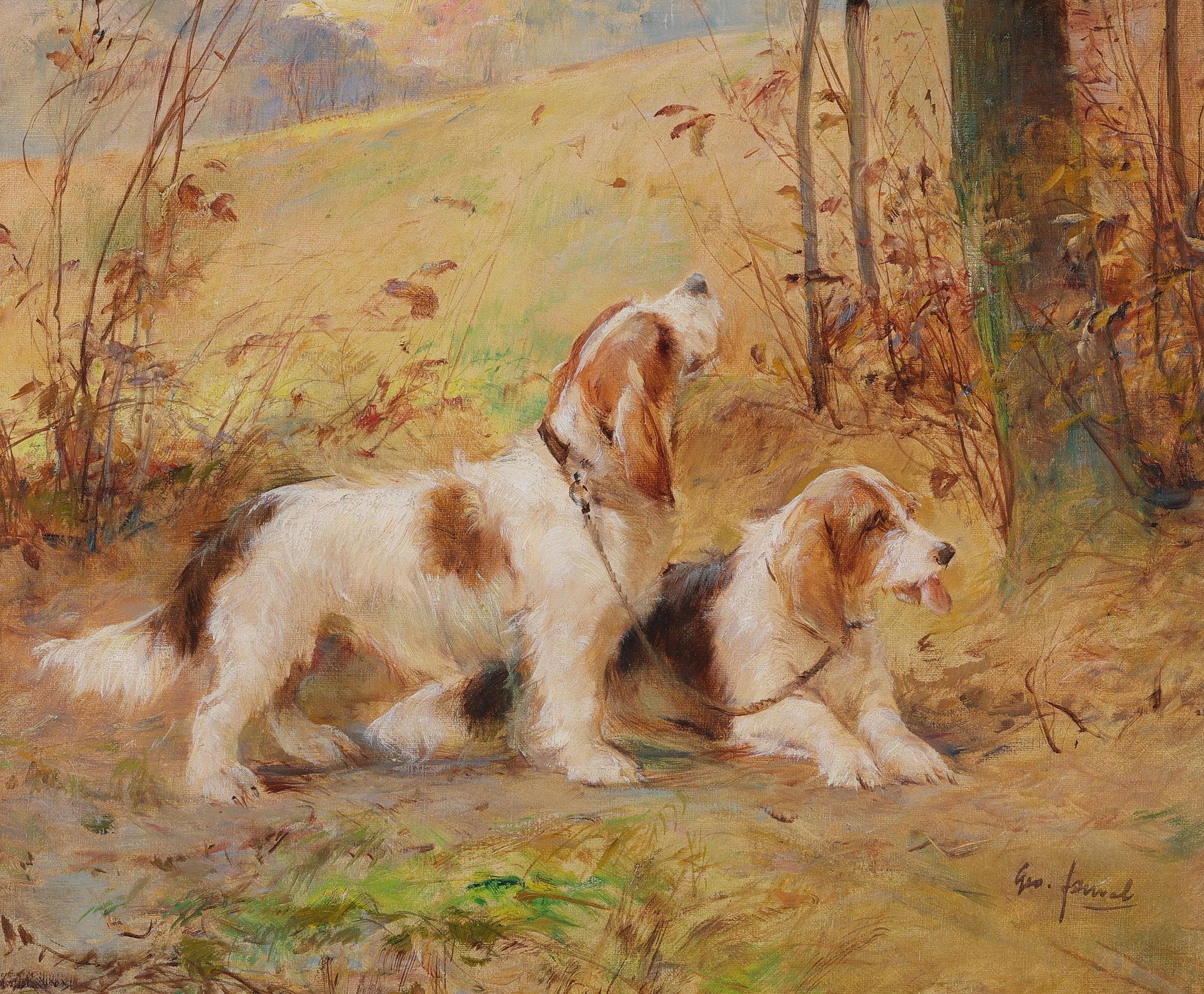 Deux chiens de chasse Gryfon en vente 1