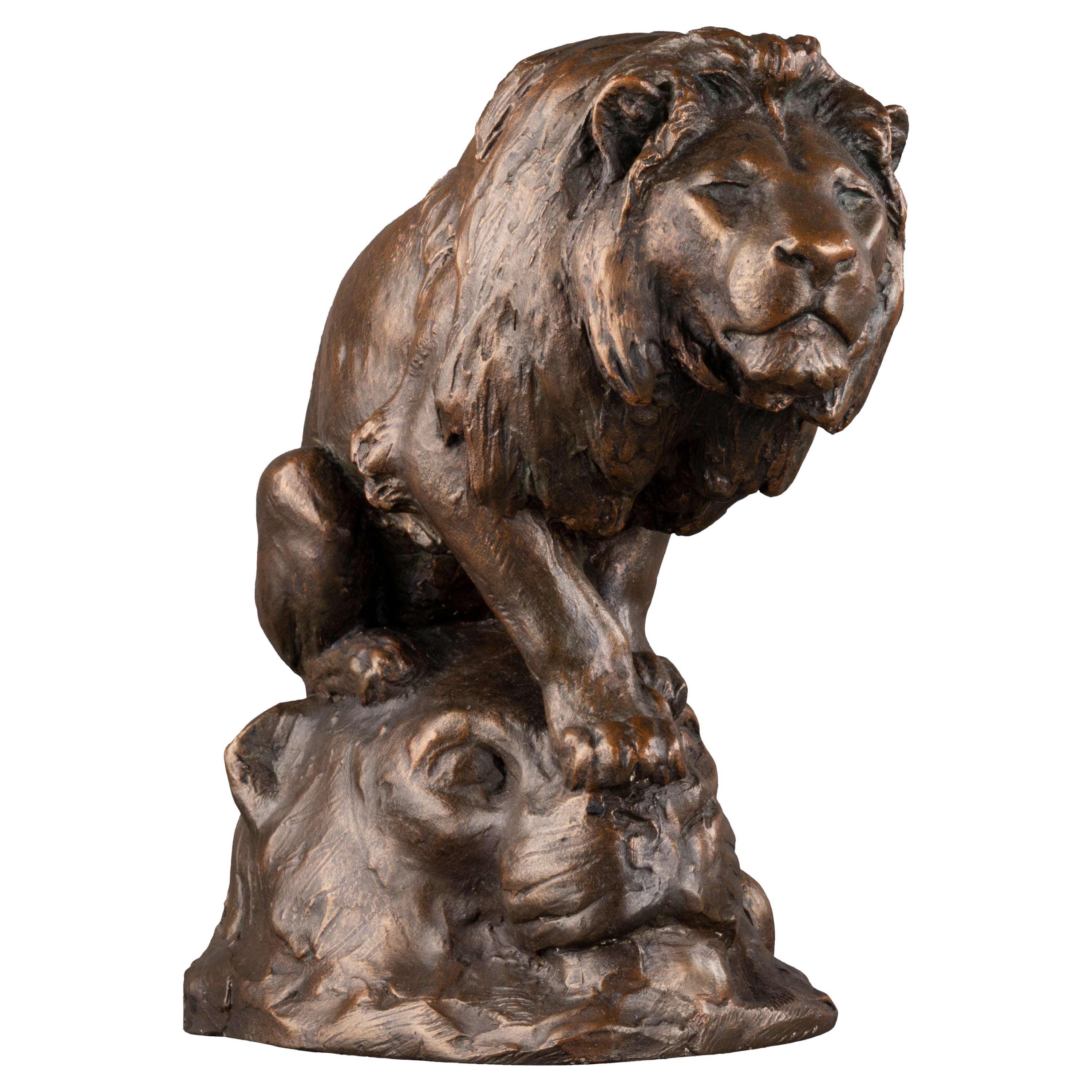 Georges Gardet : "Lion", Original workshop plaster end XIXth/ early XXth c.