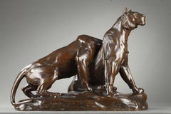 Dos jóvenes Leones