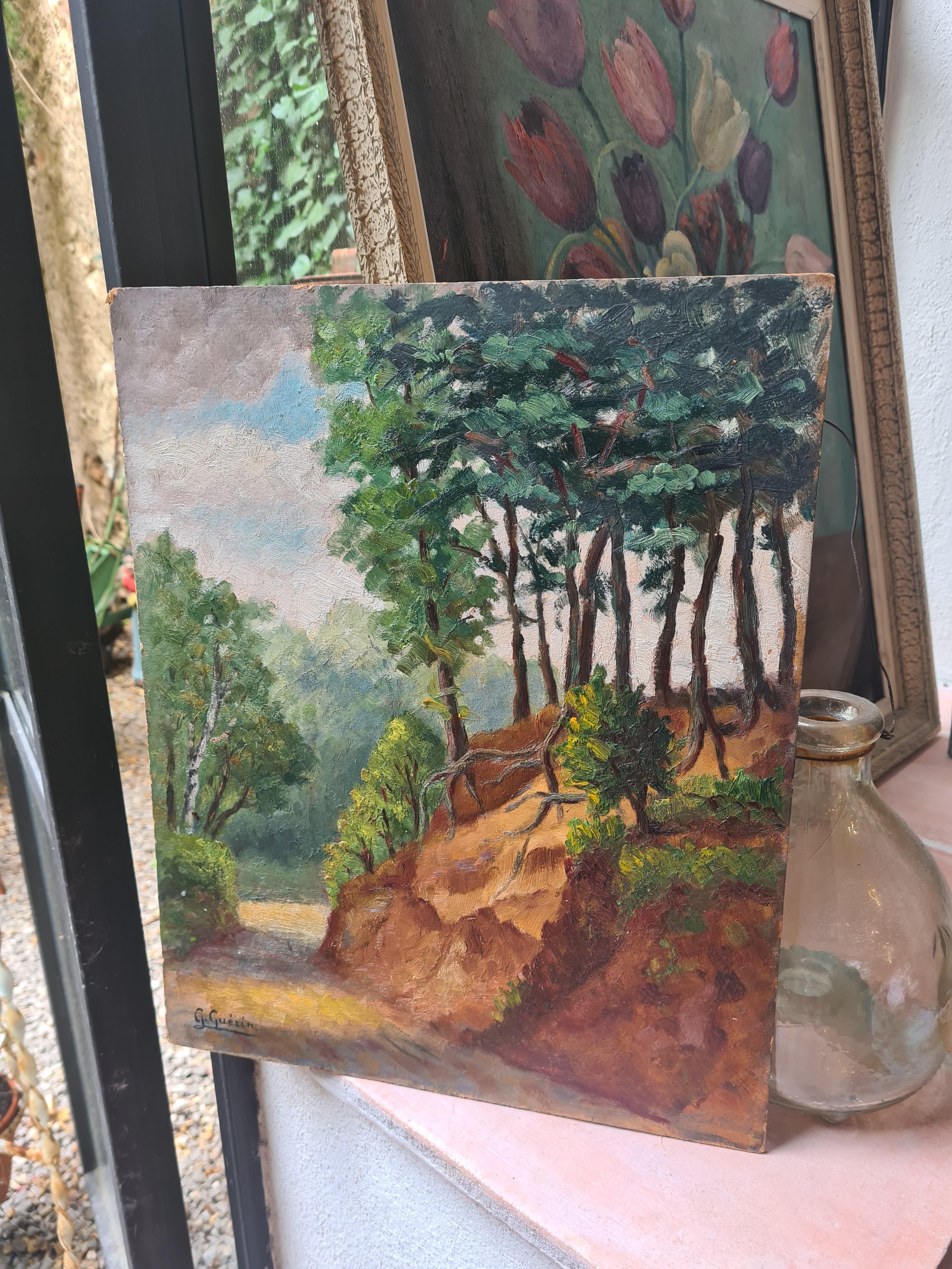 French Impressionist Barbizon School Landscape, Forest at Mont-de-l'Enclus For Sale 6