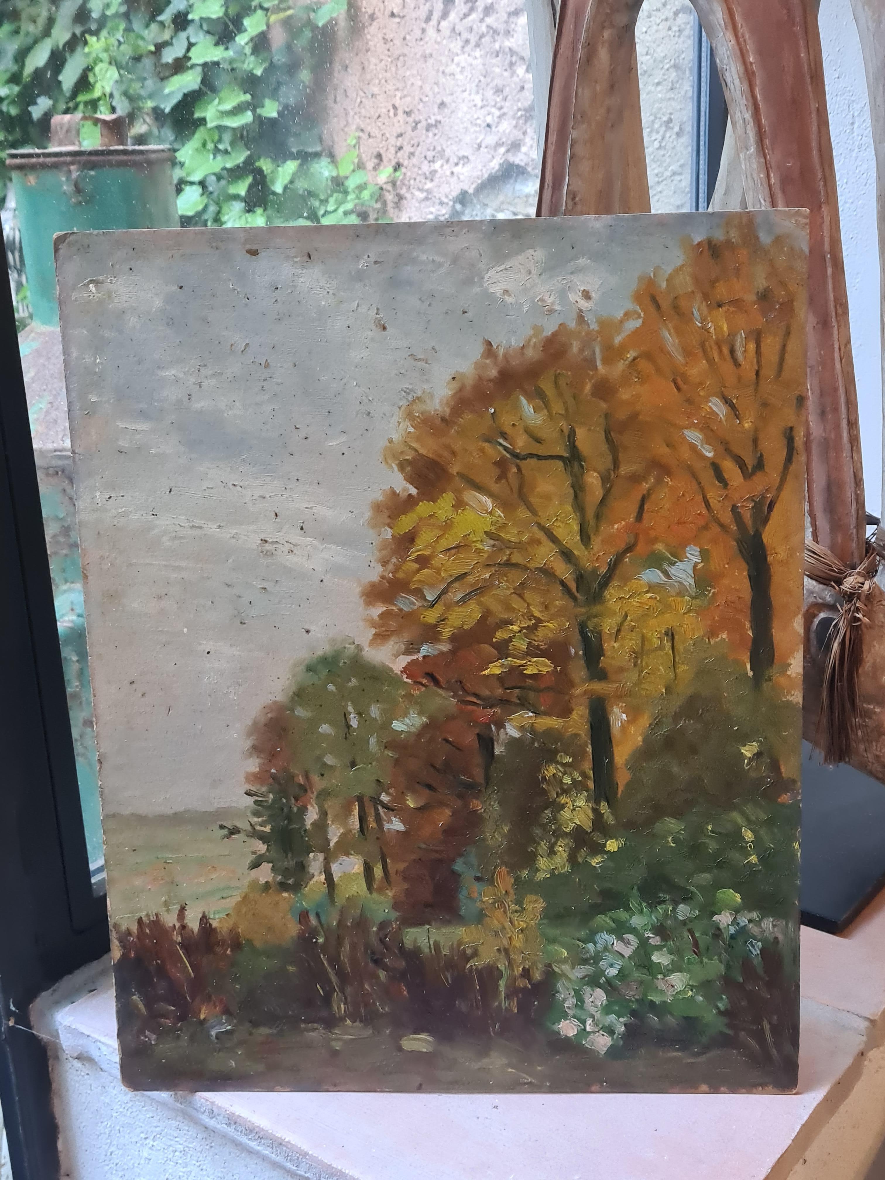 Paysage impressionniste français de l'école de Barbizon, Gloire d'automne et Azeleas en vente 6