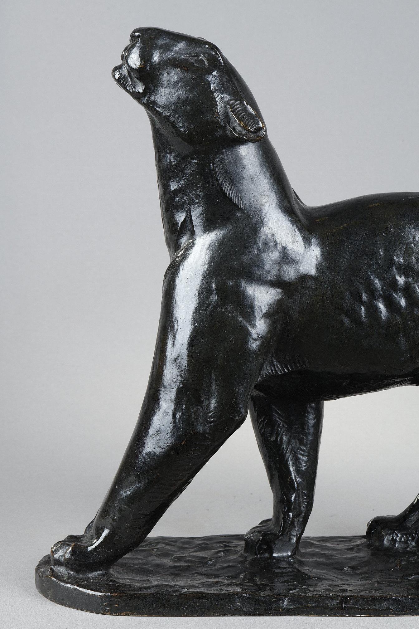 Panther sniffing For Sale 6