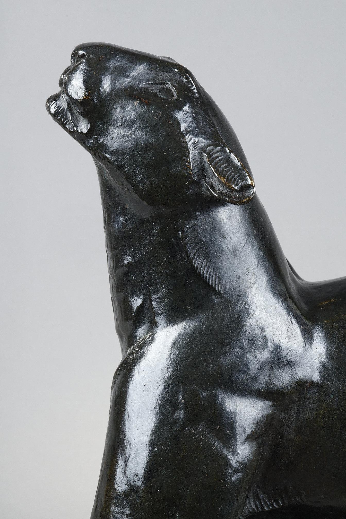 Panther sniffing For Sale 7