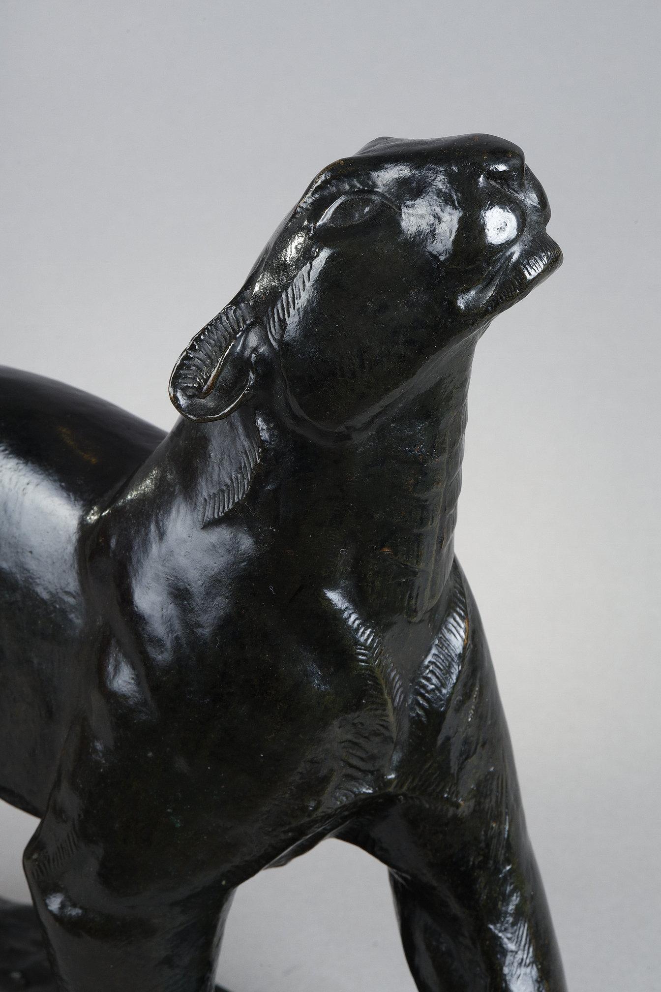 Panther sniffing For Sale 1