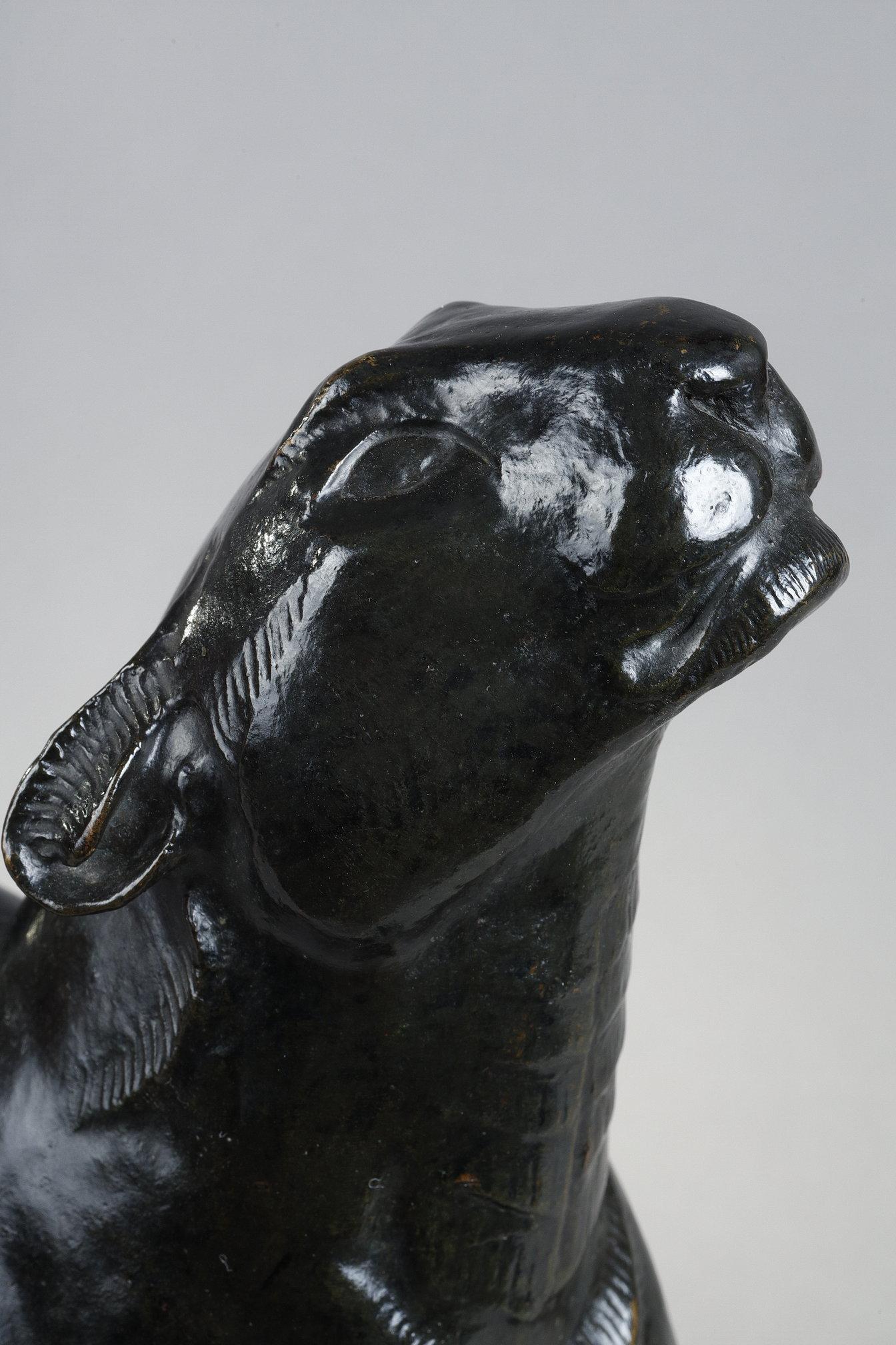 Panther sniffing For Sale 2