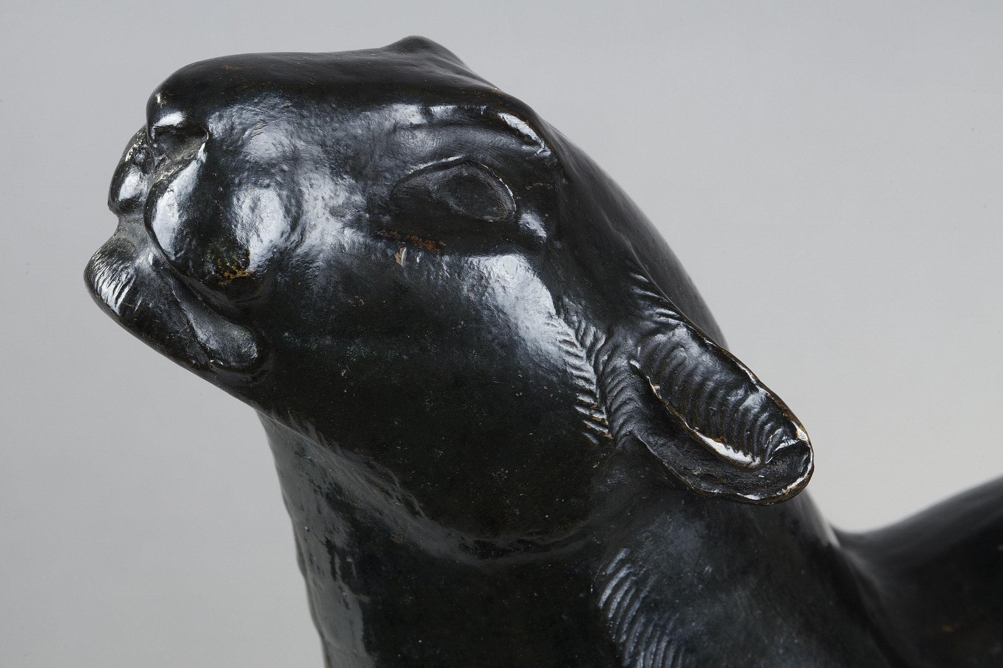 Panther sniffing For Sale 4