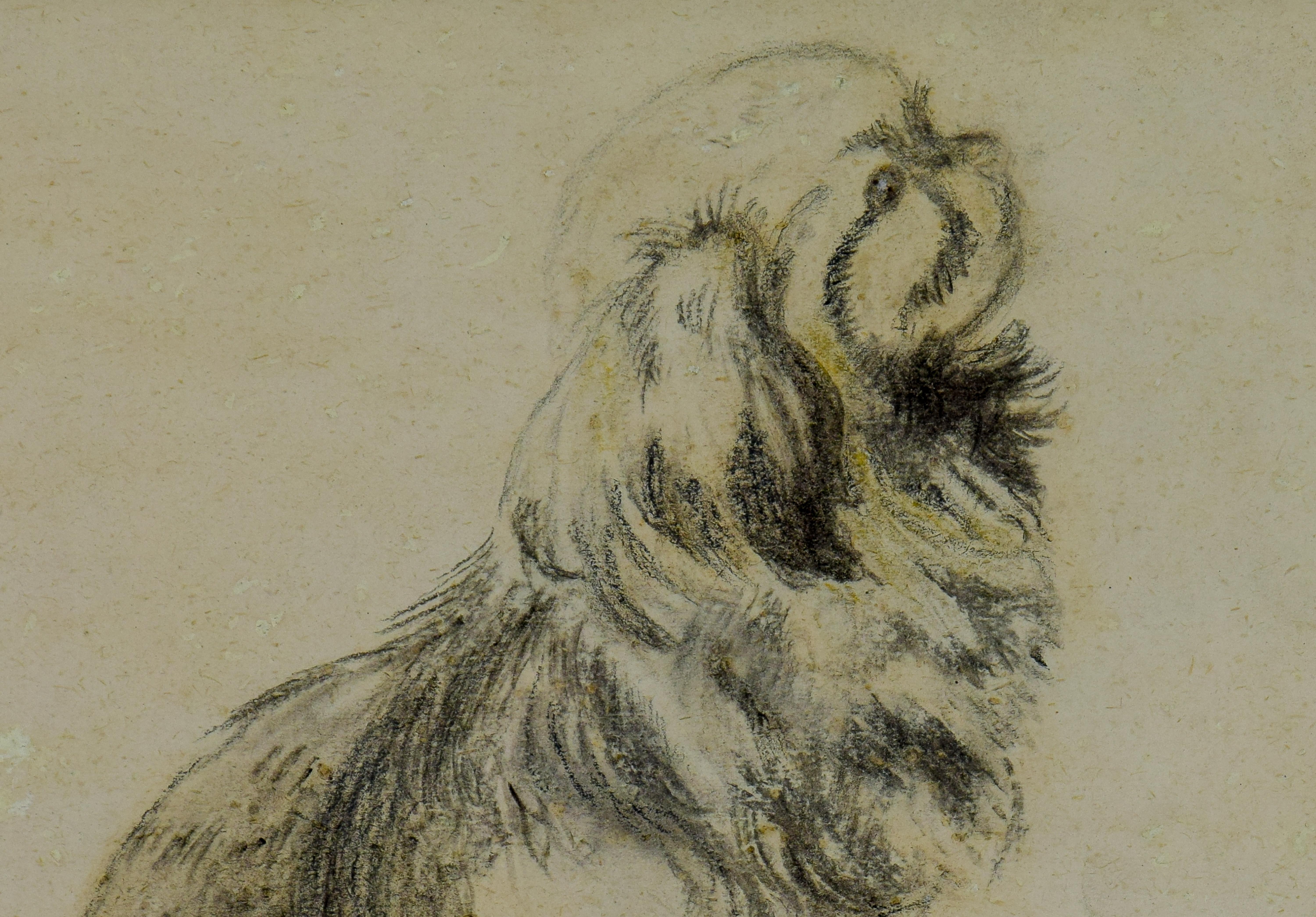 Pekinger (Le Pkinois), Zeichnung eines Hundes von Georges Manzana Pissarro (Braun), Figurative Painting, von Georges Henri Manzana Pissarro
