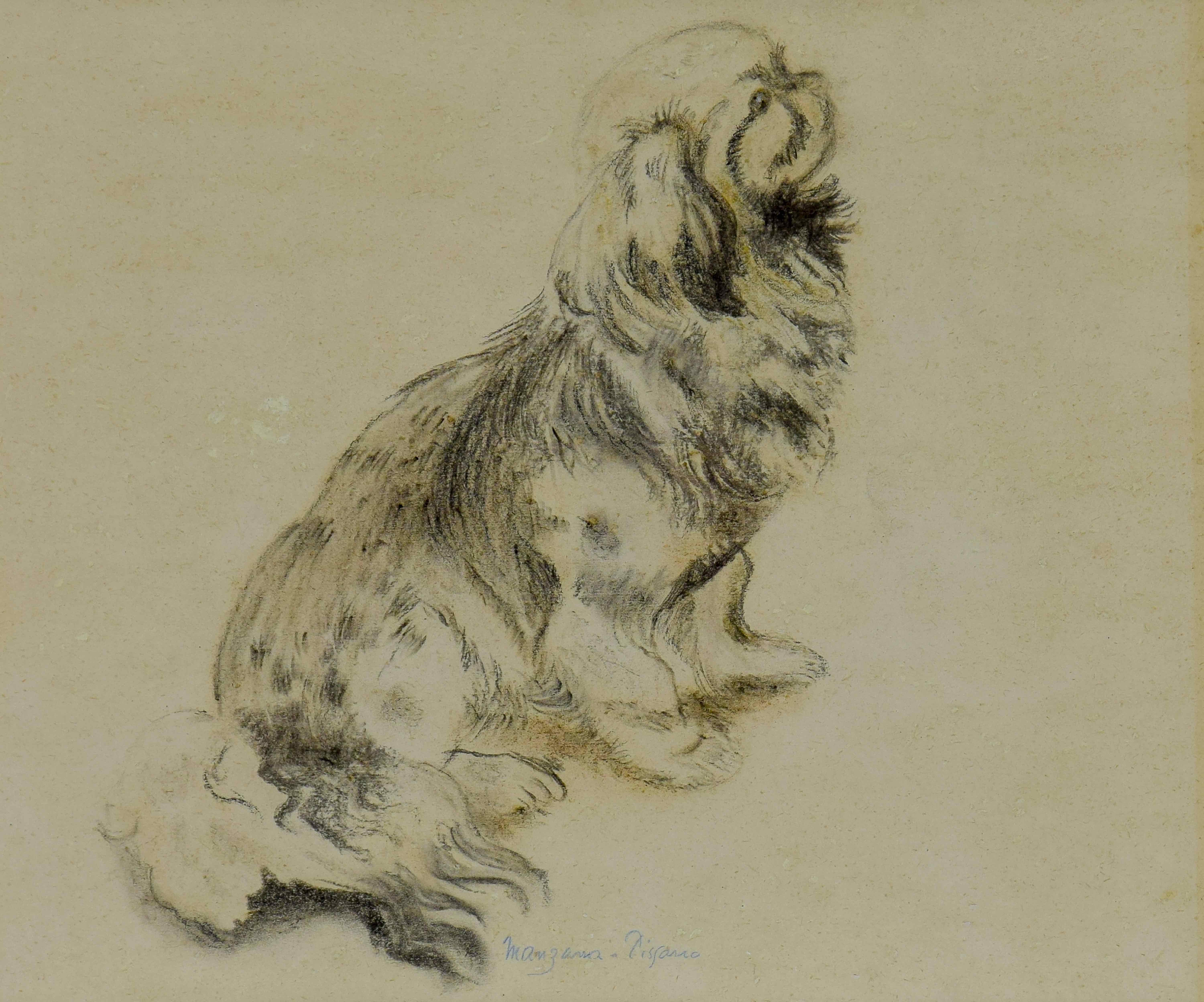 Georges Henri Manzana Pissarro Figurative Painting - The Pekingese (Le Pékinois), drawing of a dog by Georges Manzana Pissarro