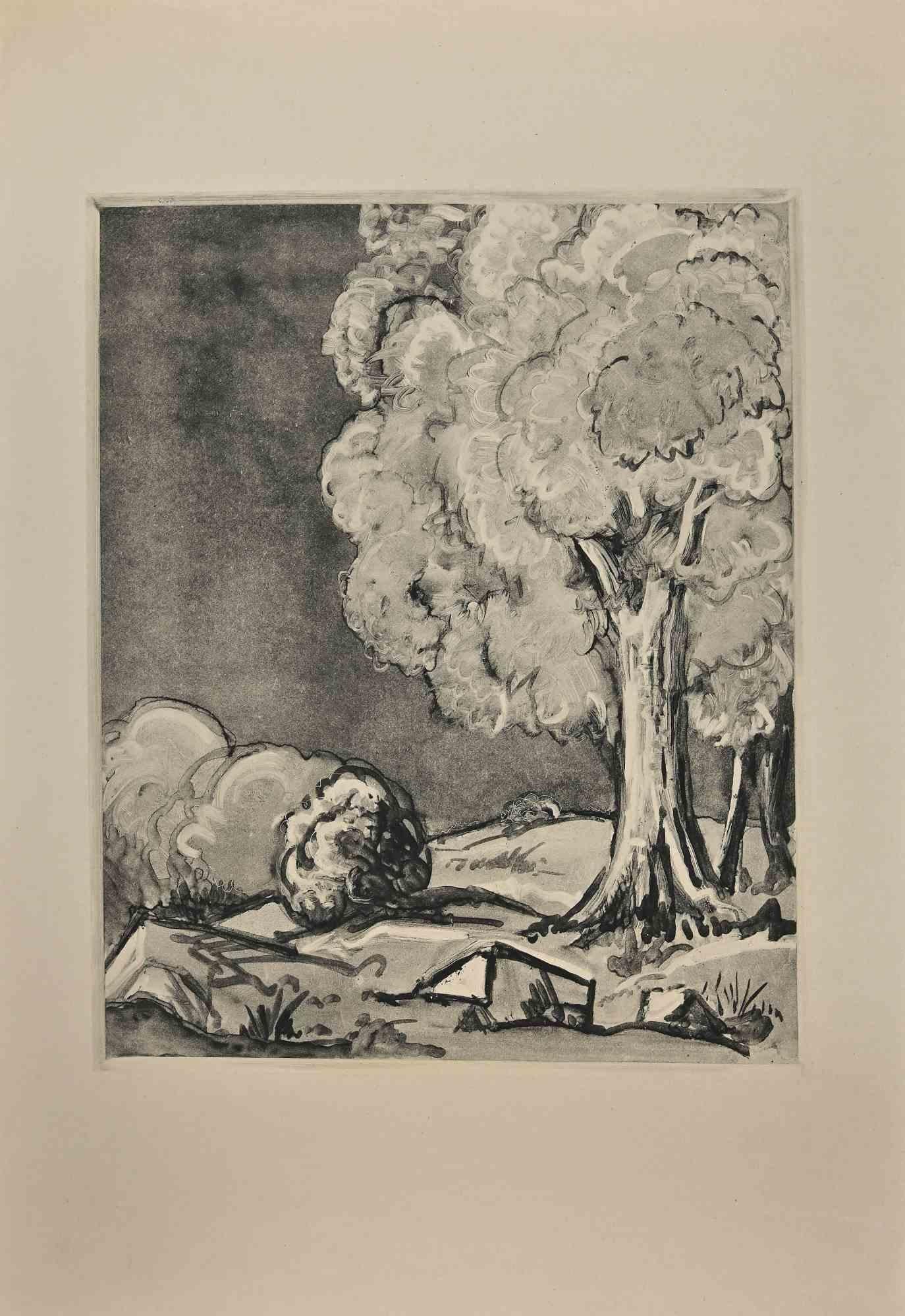 Figurative Print Georges-Henri Tribout - Paysage avec arbres - eau-forte originale de George-Henri Tribout - années 1930