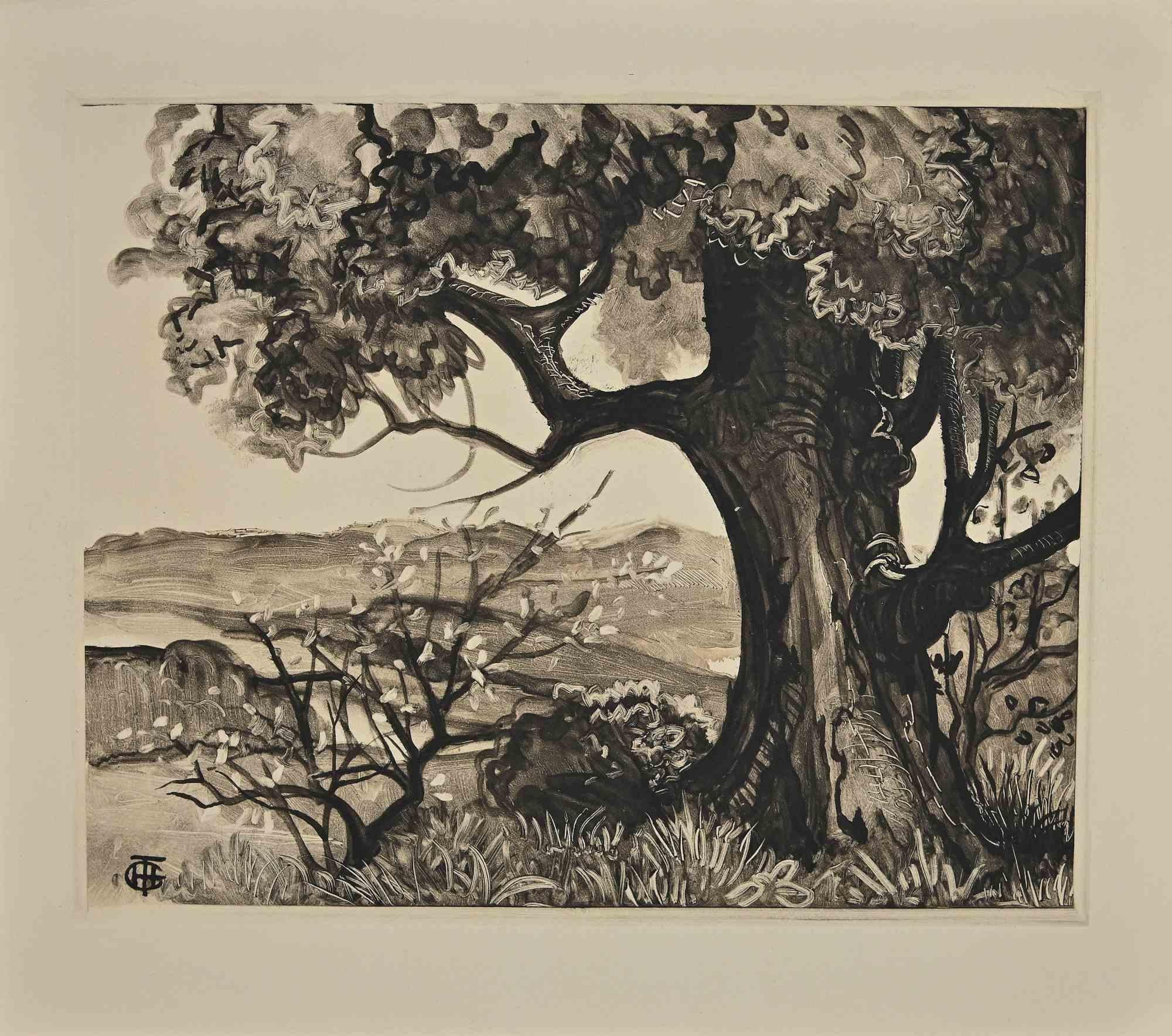 L'arbre - Gravure originale de George-Henri Tribout - Début du XXe siècle