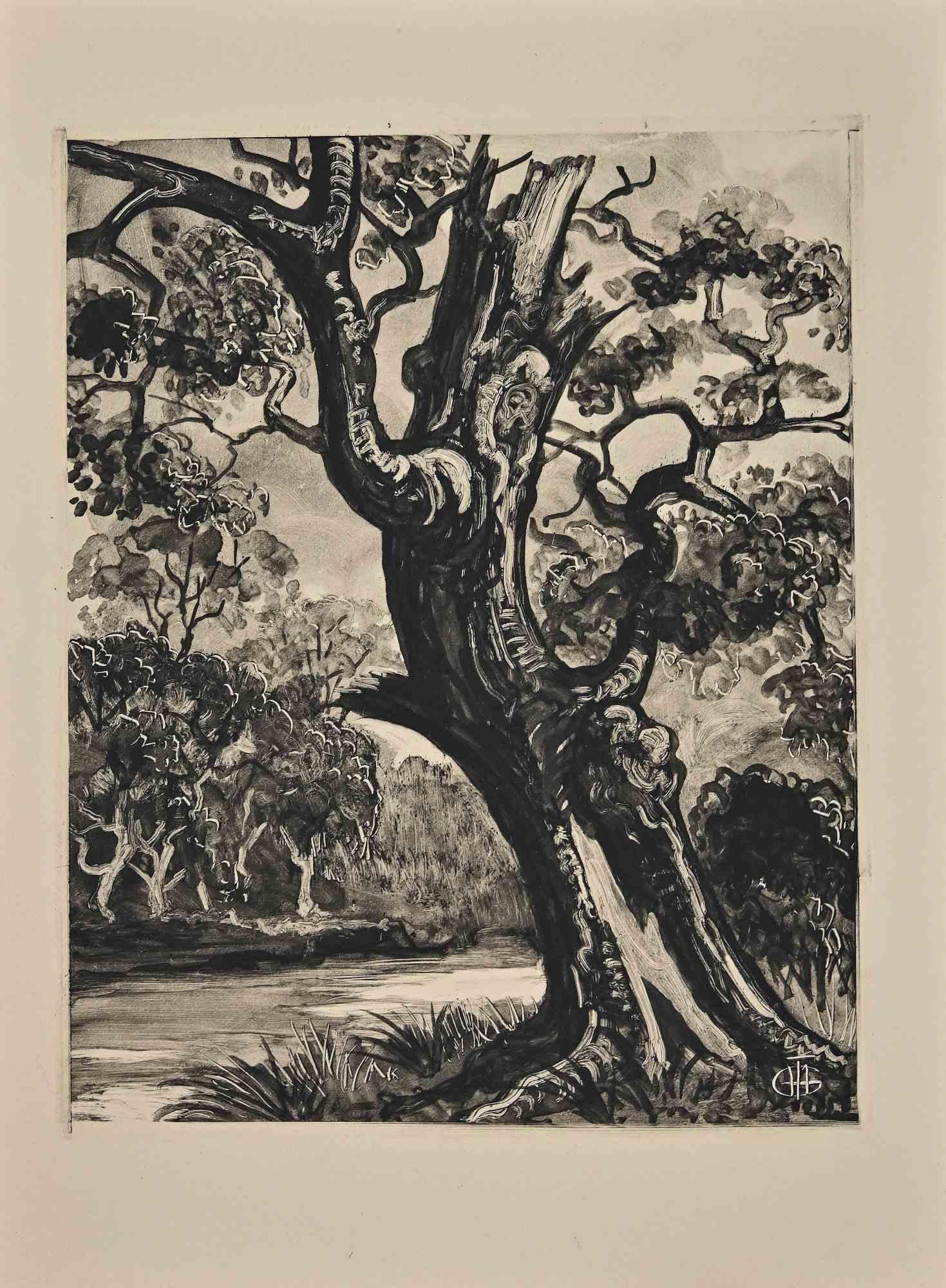 The Tree - Original Etching by George-Henri Tribout - Mid-20th Century