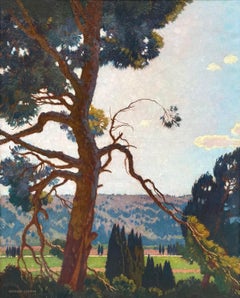 Die Landschaft der Provence
