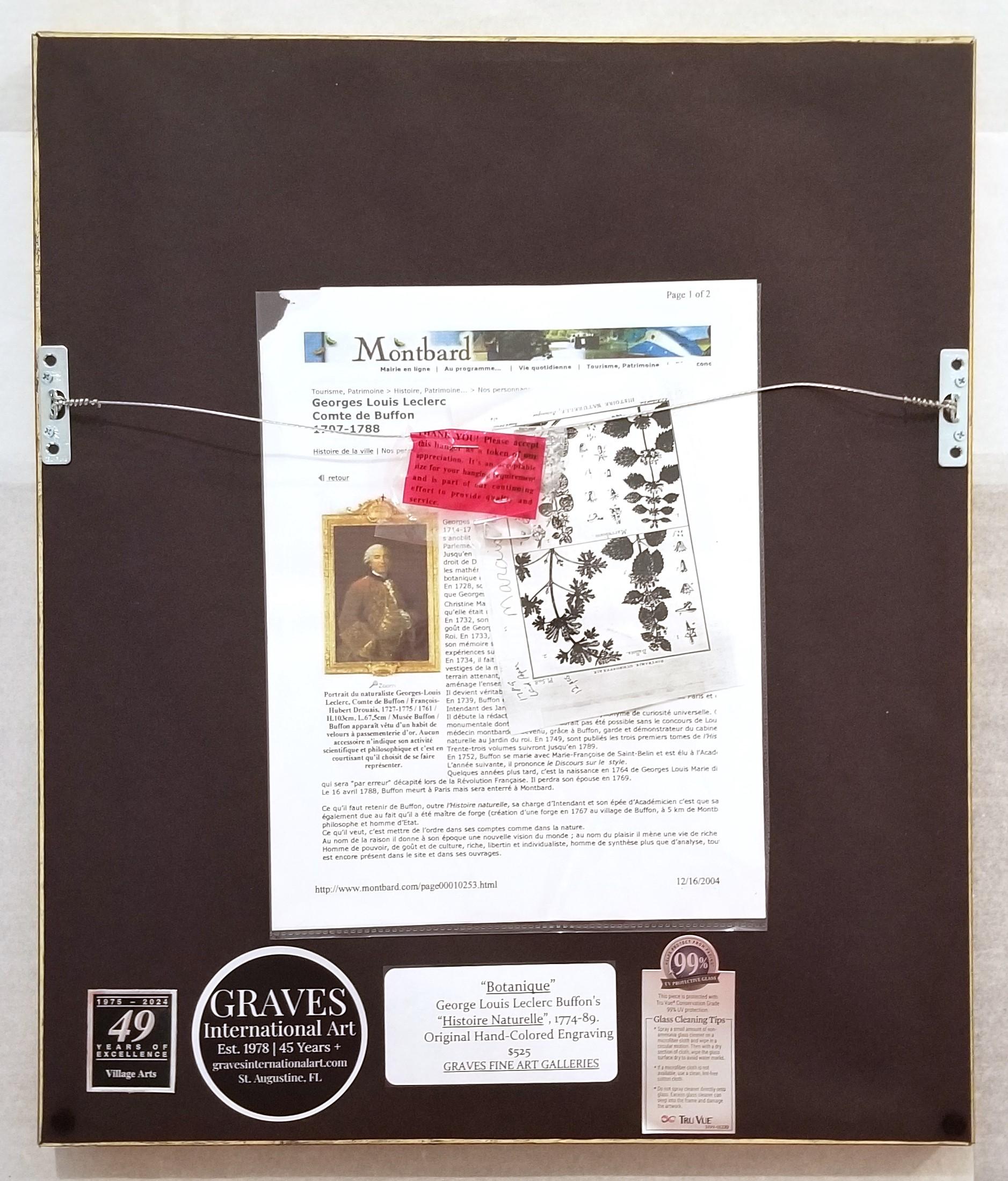 Abolboda; Elodea (Waterweeds); Lepidosperma (Hoary Rapier-Sedge) /// Botanical For Sale 10