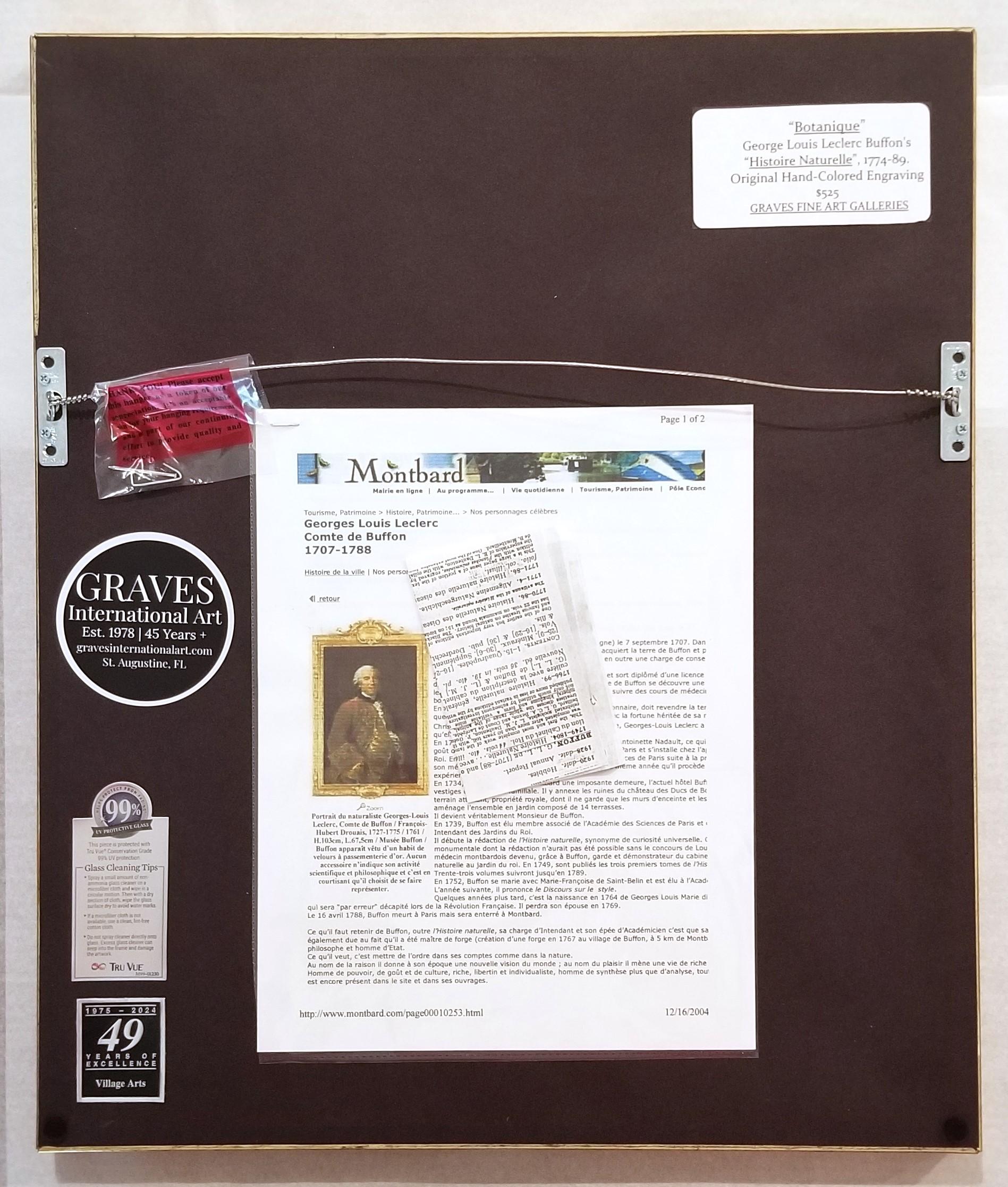 Euphorbia (Spurge) /// Antique Botanical Botany Plants Engraving Buffon Science For Sale 10