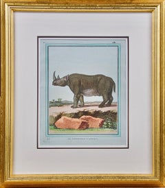 "Le Rhinoceros D'Afrique" an 18th Century Hand Colored Engraving of a Rhinoceros